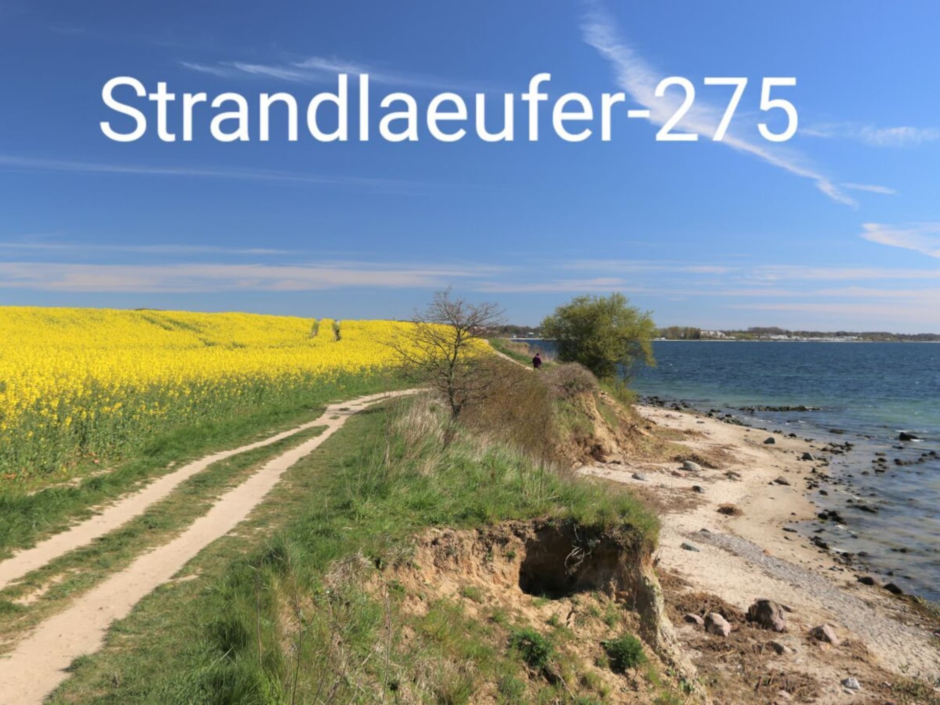 Vakantiehuis aan zee in Sierksdorf met direct strandzicht - foto 24