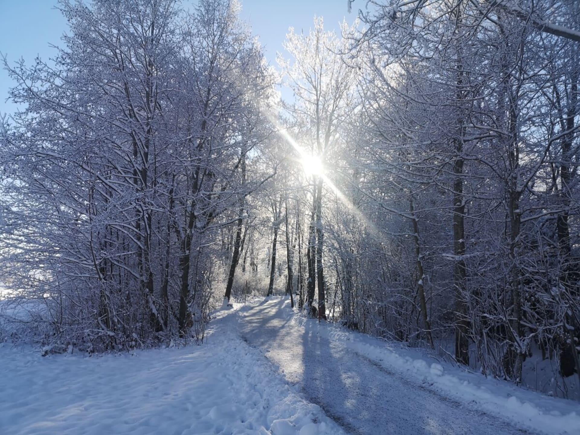 Vakantiehuis op 1,5 km van de piste in het centrum van Nesselwang - foto 24