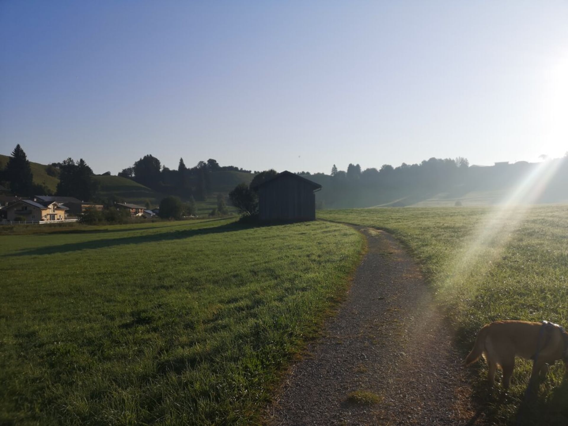 Vakantiehuis op 1,5 km van de piste in het centrum van Nesselwang - foto 25