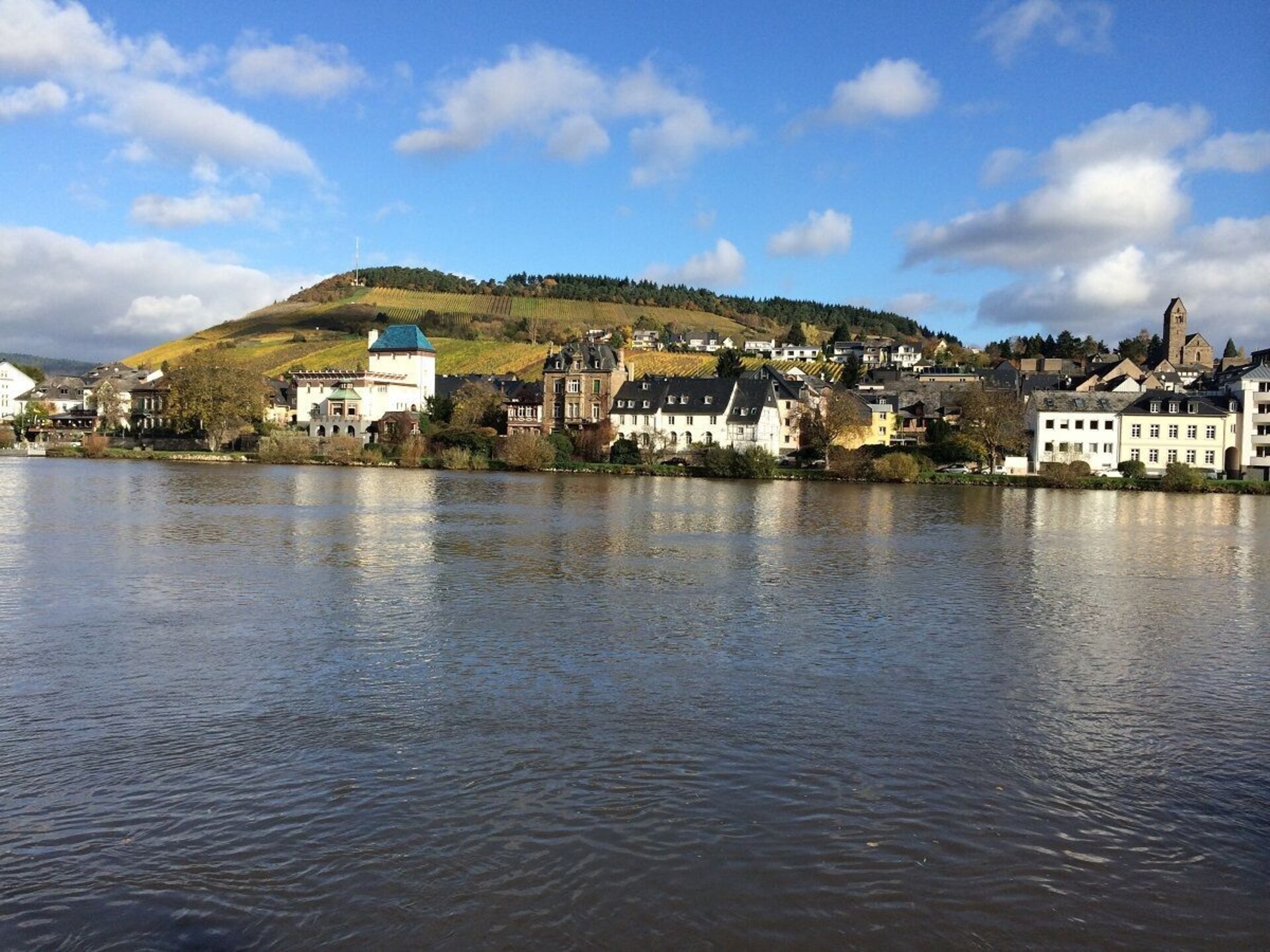 Op 1,0 km van het centrum: ruim vakantiehuis in Traben-Trarbach - foto 20