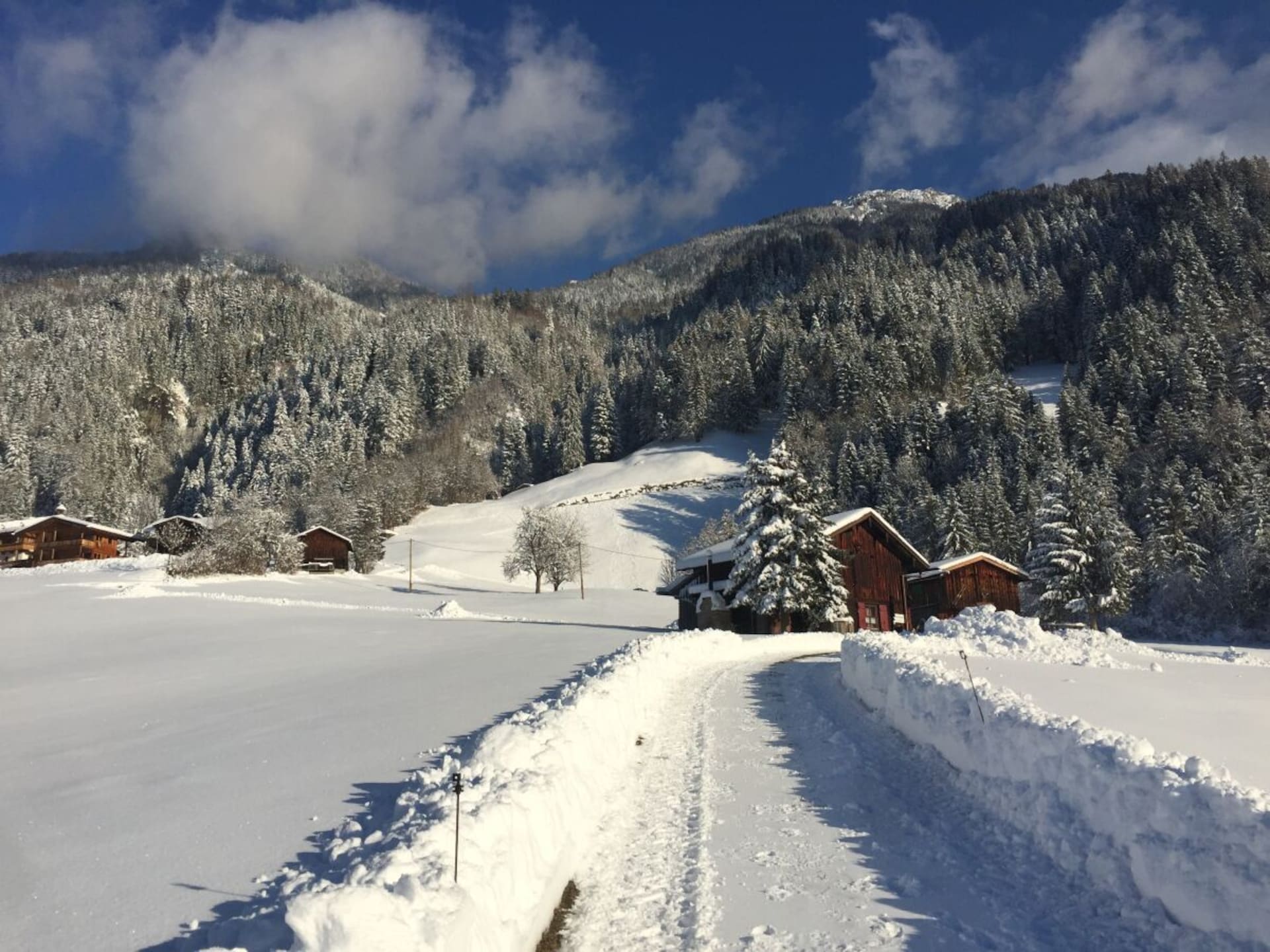 8-persoons vakantiehuis in Ramsau op 1 km van de piste - foto 35