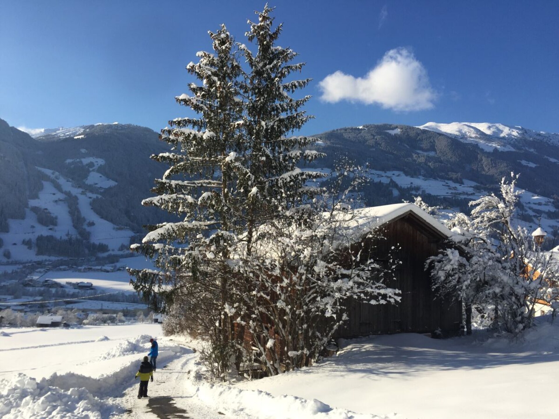 8-persoons vakantiehuis in Ramsau op 1 km van de piste - foto 36