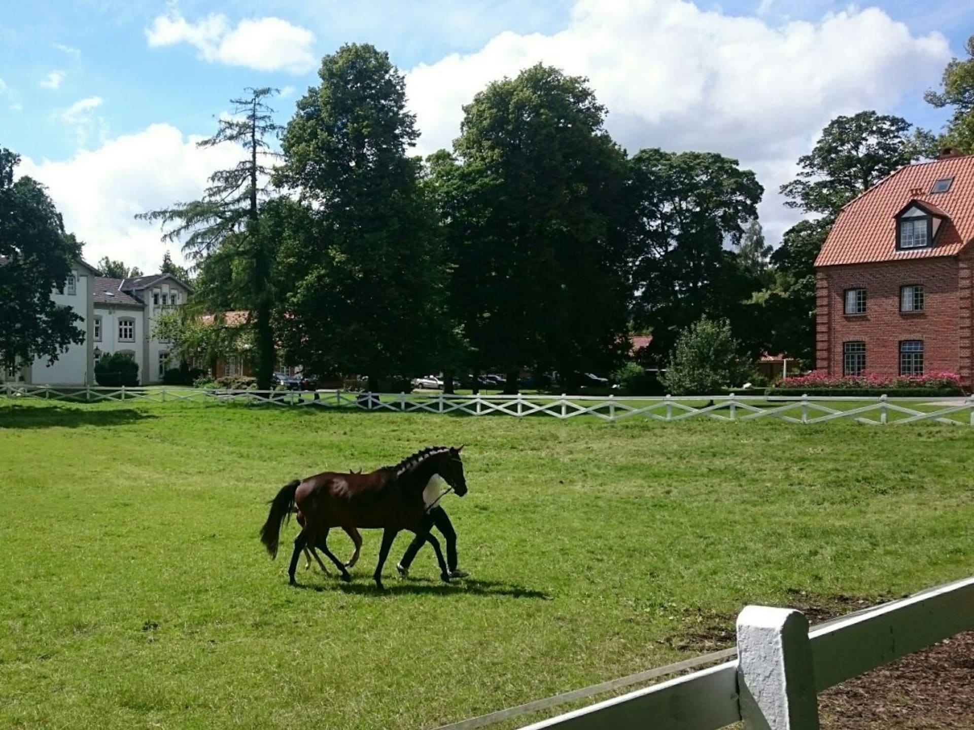 Modern vakantiehuis in Scandinavische stijl in Wangels - foto 19
