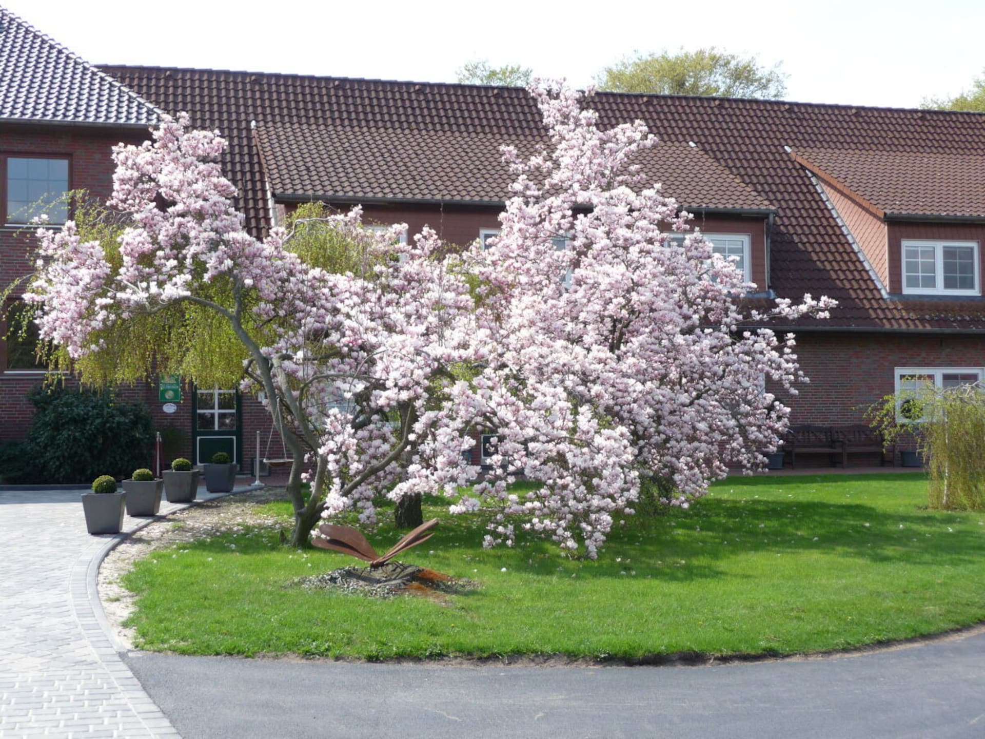3-persoons vakantiehuis in het centrum van Mardorf - foto 3