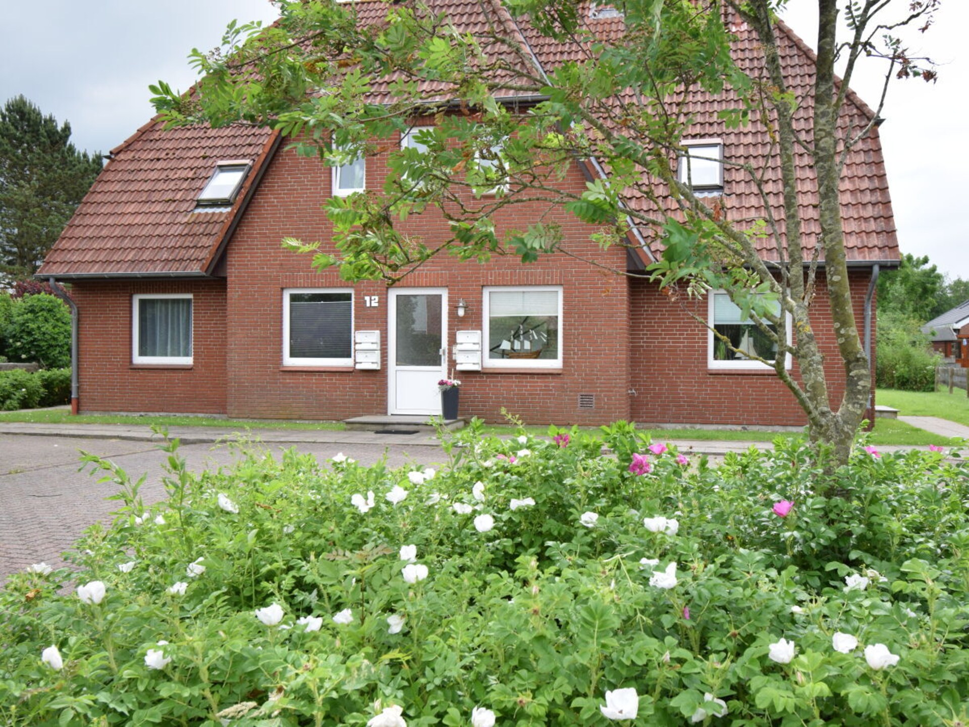 2-persoons vakantiehuis in Garding op 600m van het centrum - foto 2
