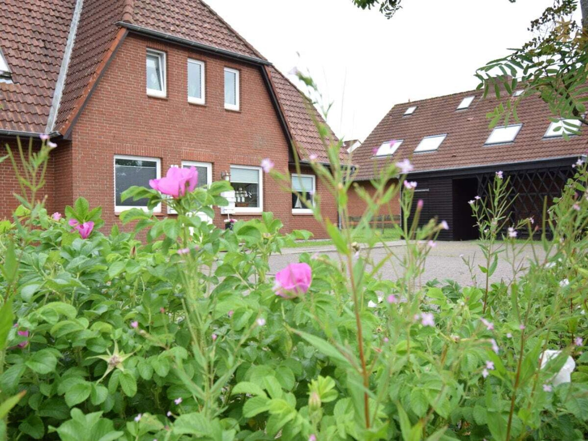 2-persoons vakantiehuis in Garding op 600m van het centrum - foto 3