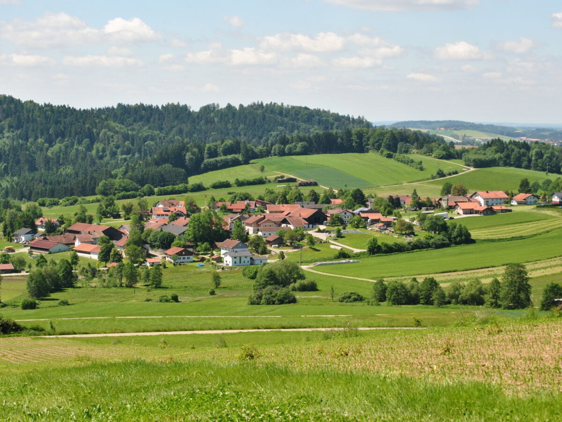 5-persoons vakantiehuis in Waldkirchen met terras en uitzicht - foto 36
