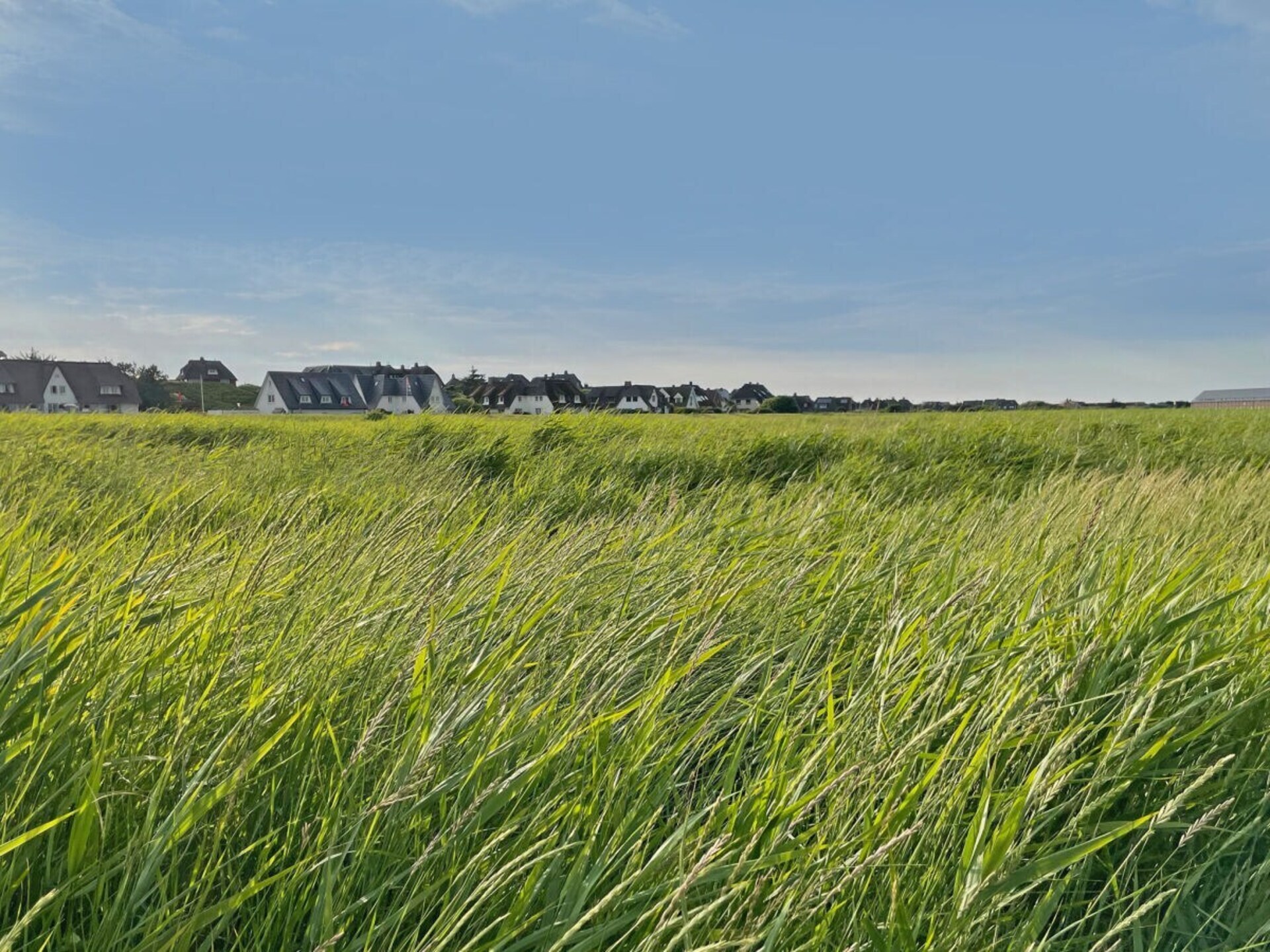 Stijlvol vakantiehuis met uitzicht op de Waddenzee in Rantum Sylt - foto 26