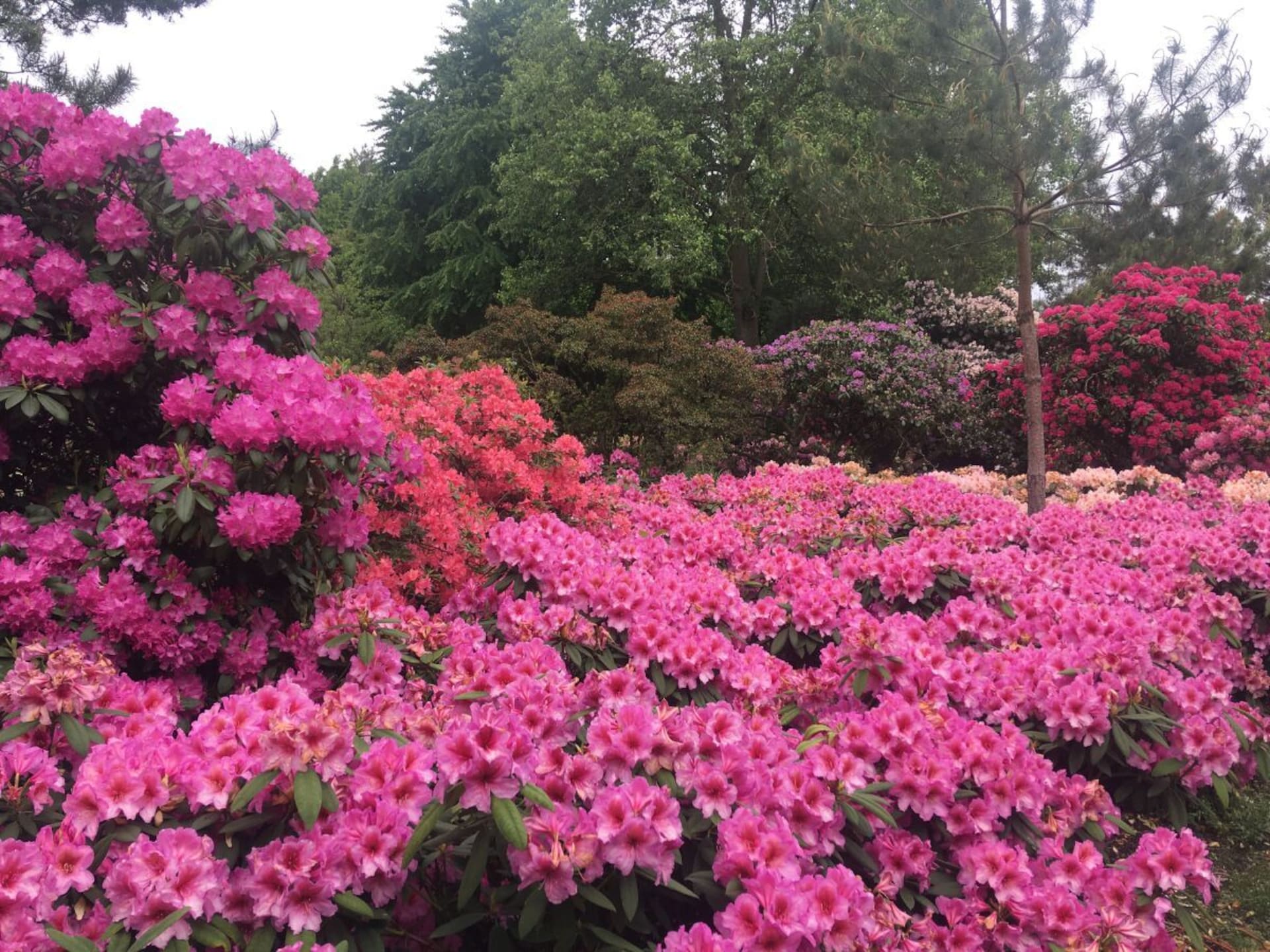 Comfortabel vakantiehuis met zonterras in Bad Zwischenahn - foto 18