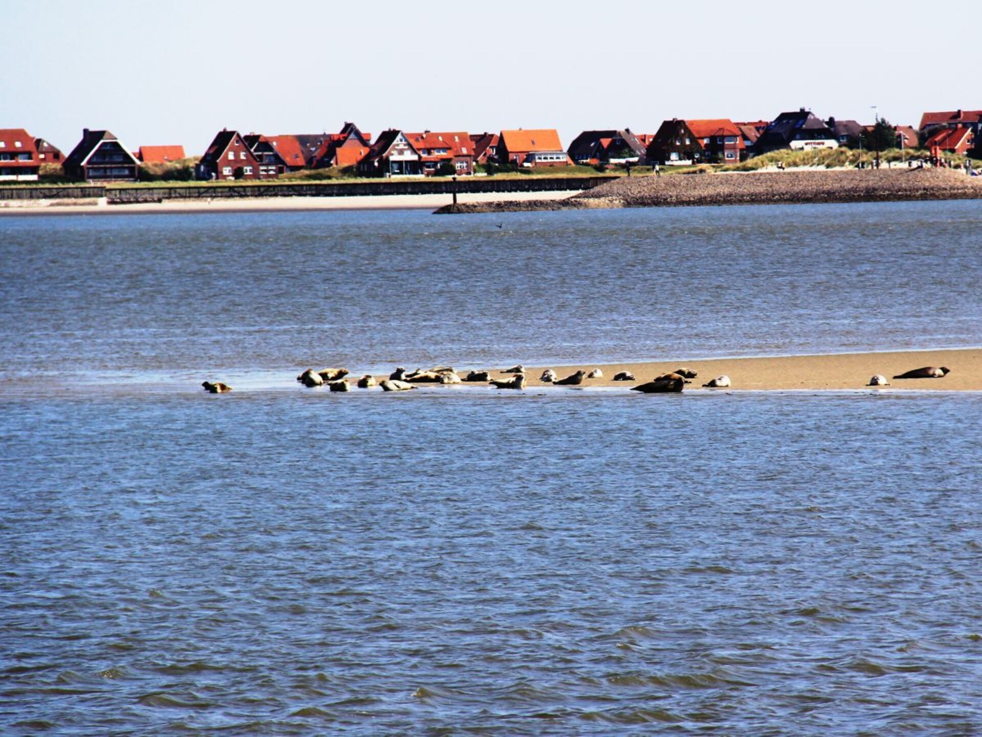 Centraal gelegen vakantiehuis LüttjeLeev op Baltrum - foto 14