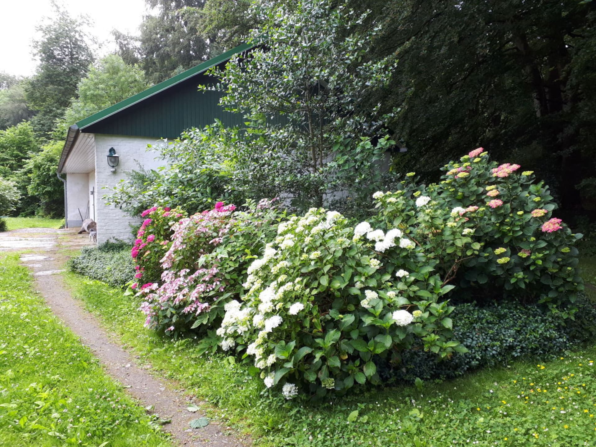 Rustgevend vakantiehuis in Ulsnis voor 4 personen - foto 7