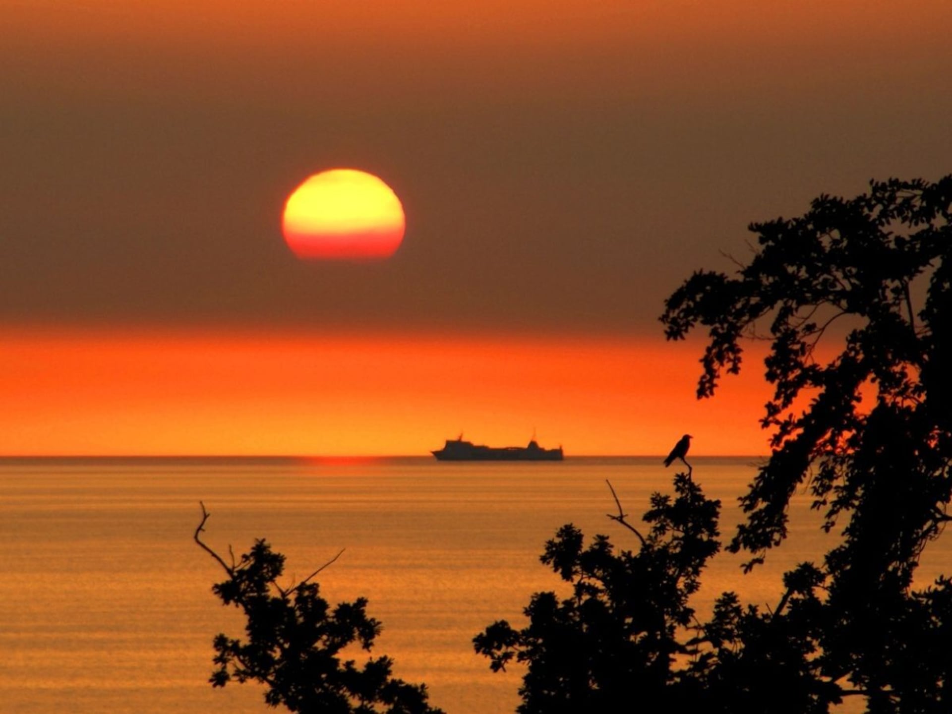 Centraal gelegen vakantiehuis in Göhren op Rügen met zeezicht - foto 6