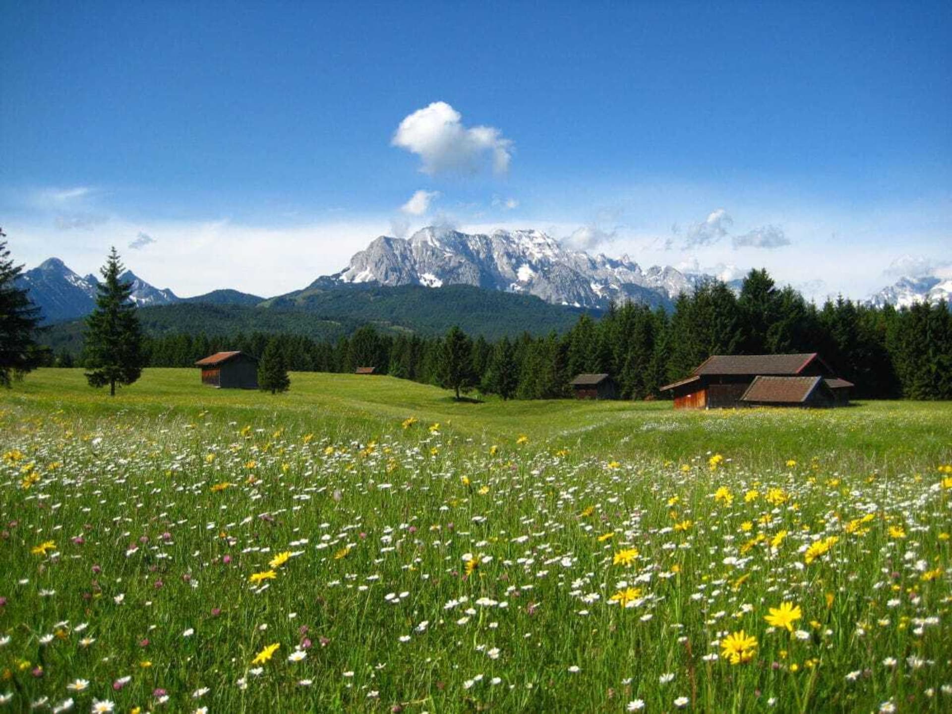 4-persoons vakantiehuis in Krün nabij de piste - foto 18