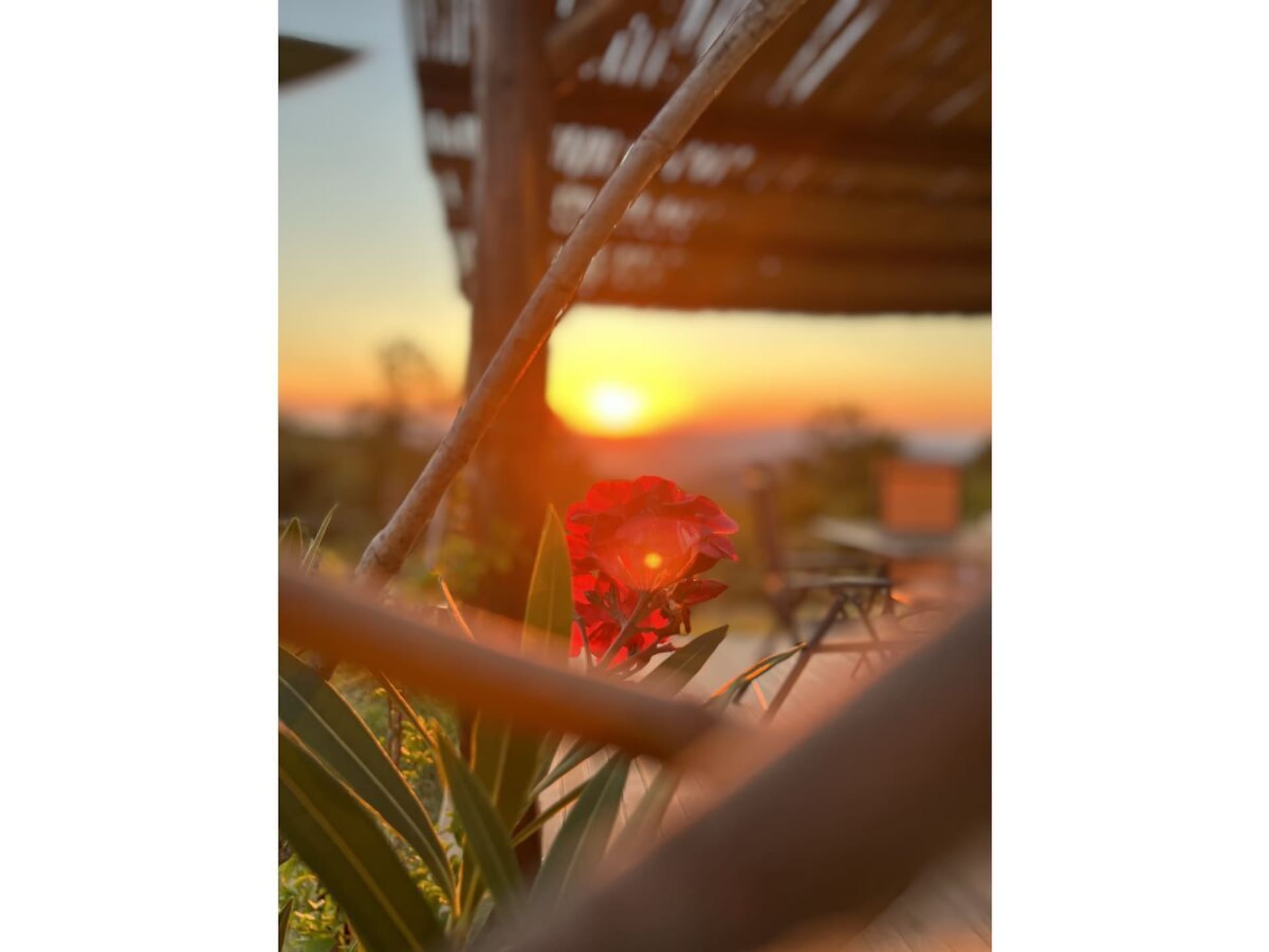 Authentiek 16e-eeuws stenen vakantiehuis in Castellina Marittima - foto 6