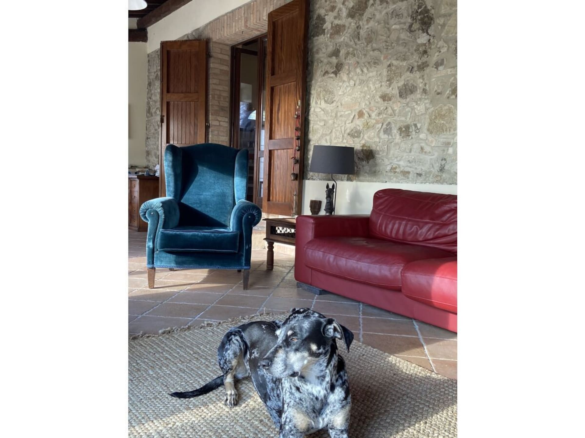 Authentiek 16e-eeuws stenen vakantiehuis in Castellina Marittima - foto 14