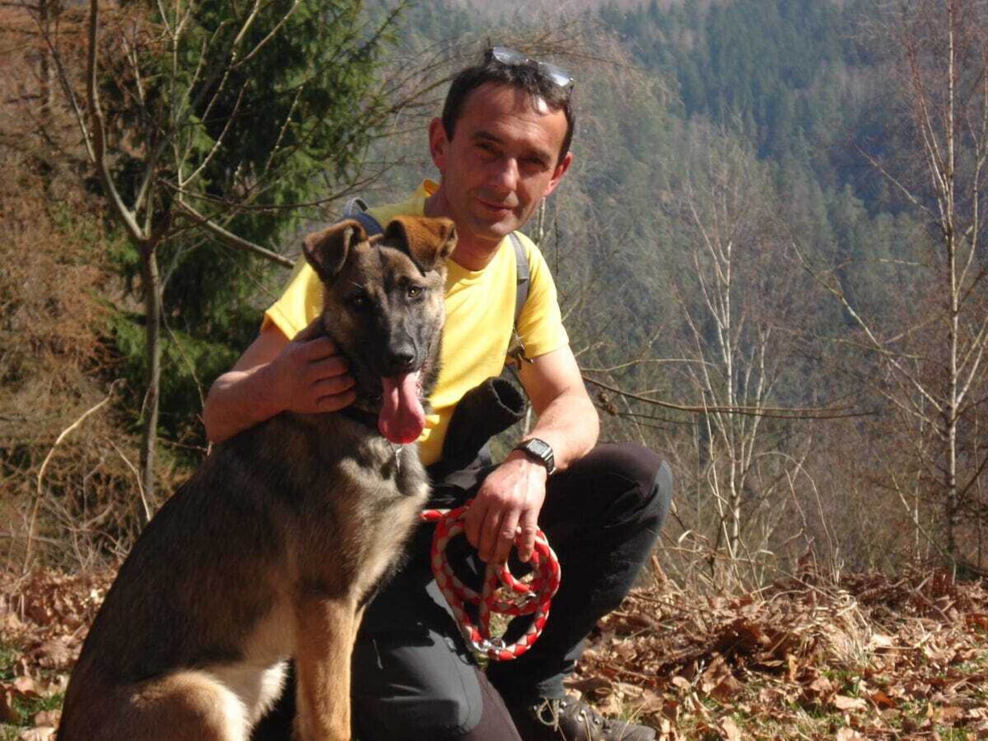 Sfeervol vakantiehuis in Bad Schandau met boszicht - foto 32