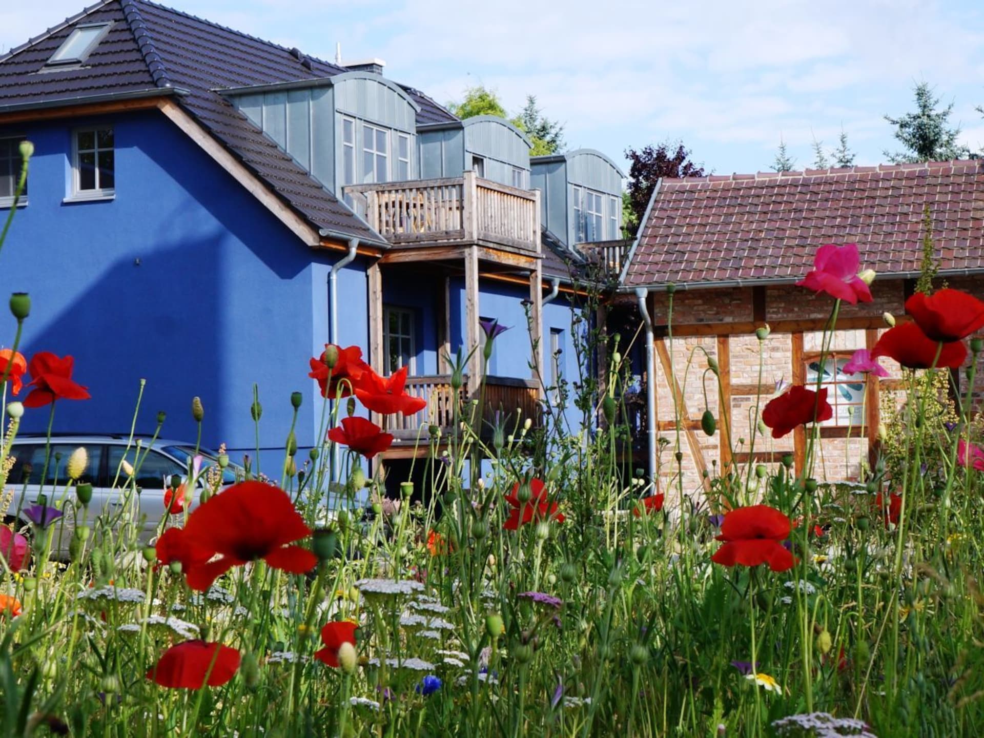 Modern vakantiehuis in Lübben aan de rand van de Spreewald - foto 2