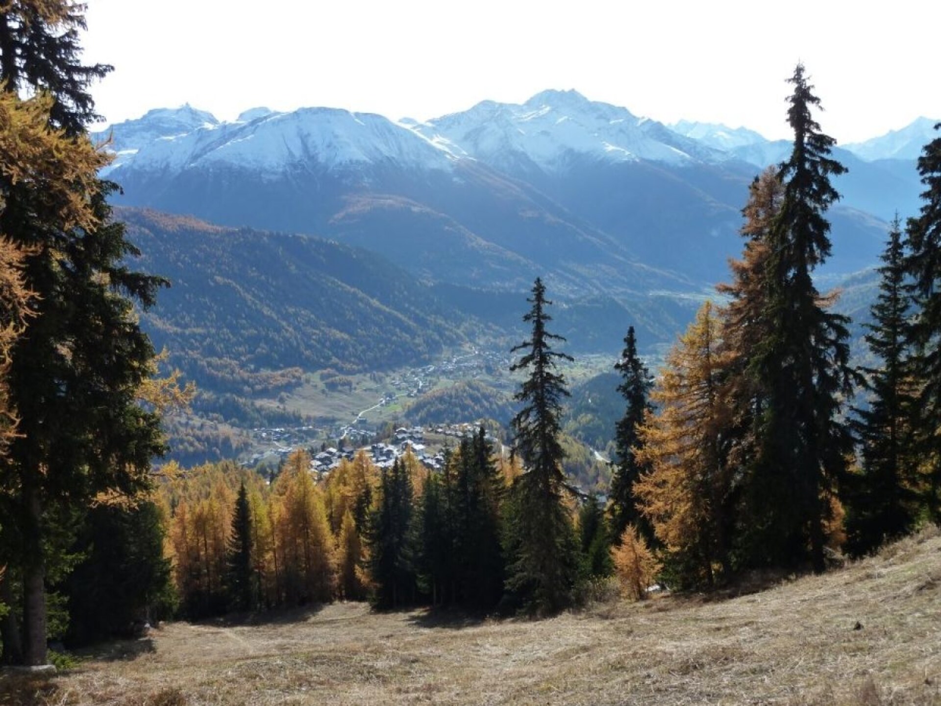 Centraal gelegen vakantiehuis in Bellwald op 300m van de piste - foto 21