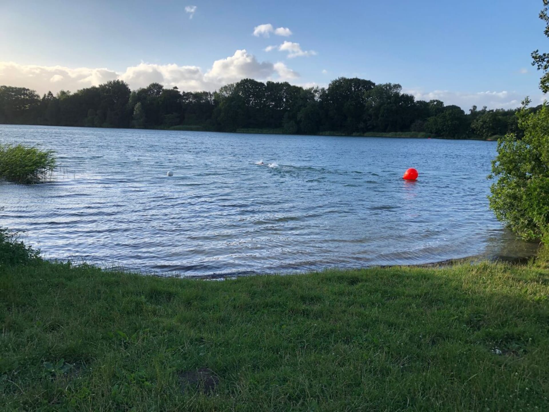 Licht vakantiehuis in Eckernförde voor 6 personen met tuin - foto 37