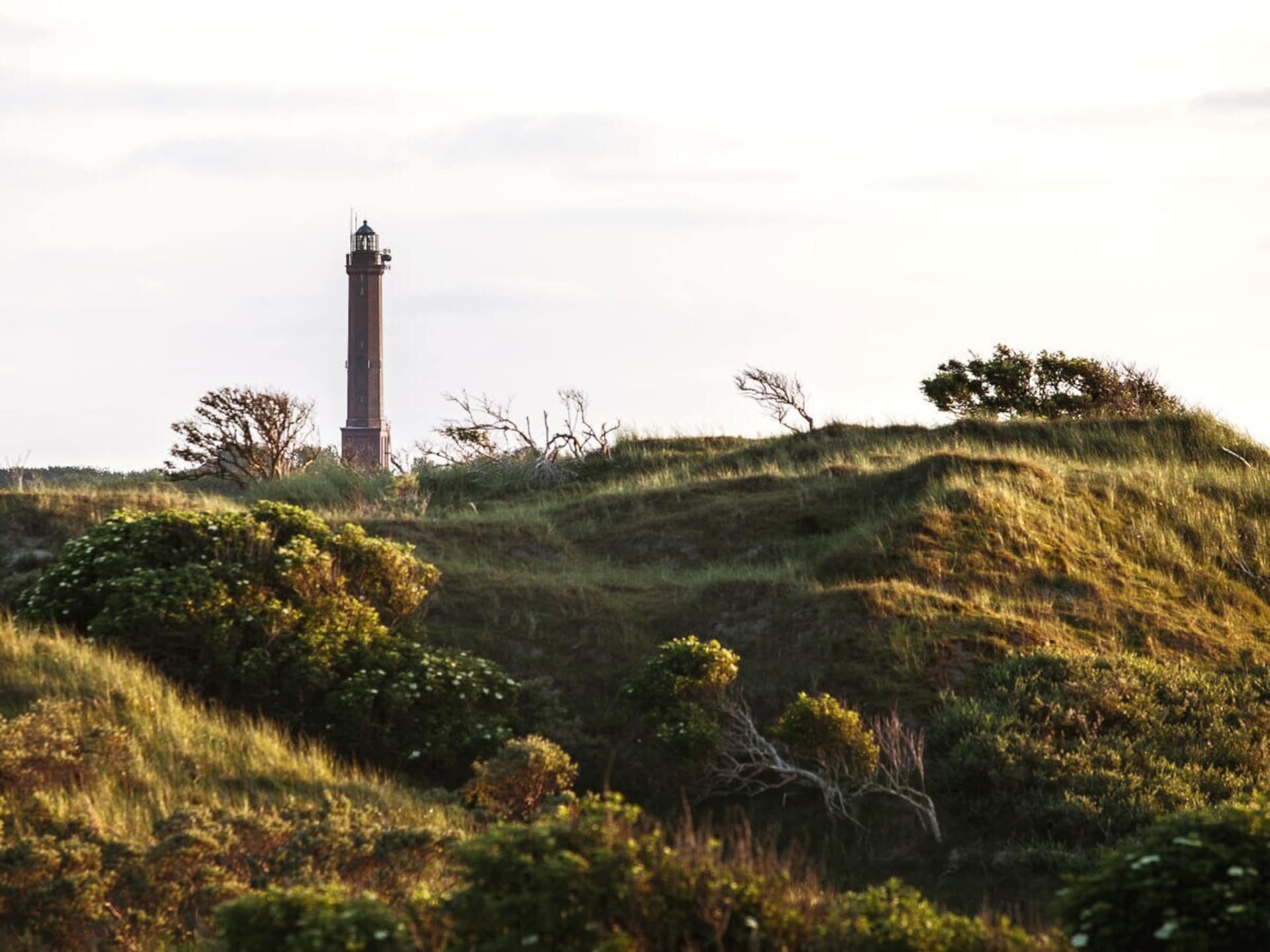 Sfeervol vakantiehuis Sandperle op het eiland Norderney - foto 12