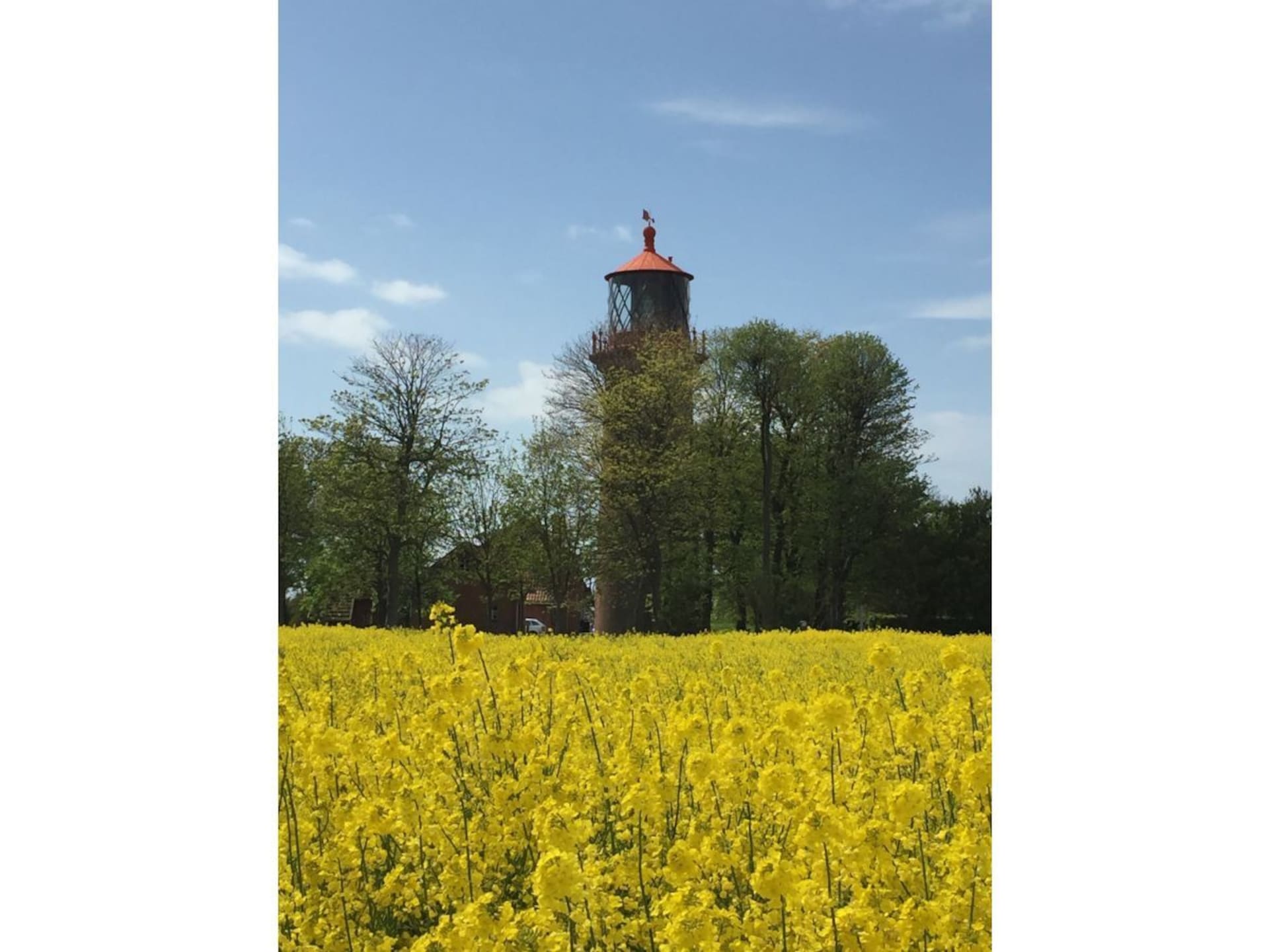 Licht vakantiehuis met zonneterras in Bojendorf, Fehmarn - foto 21