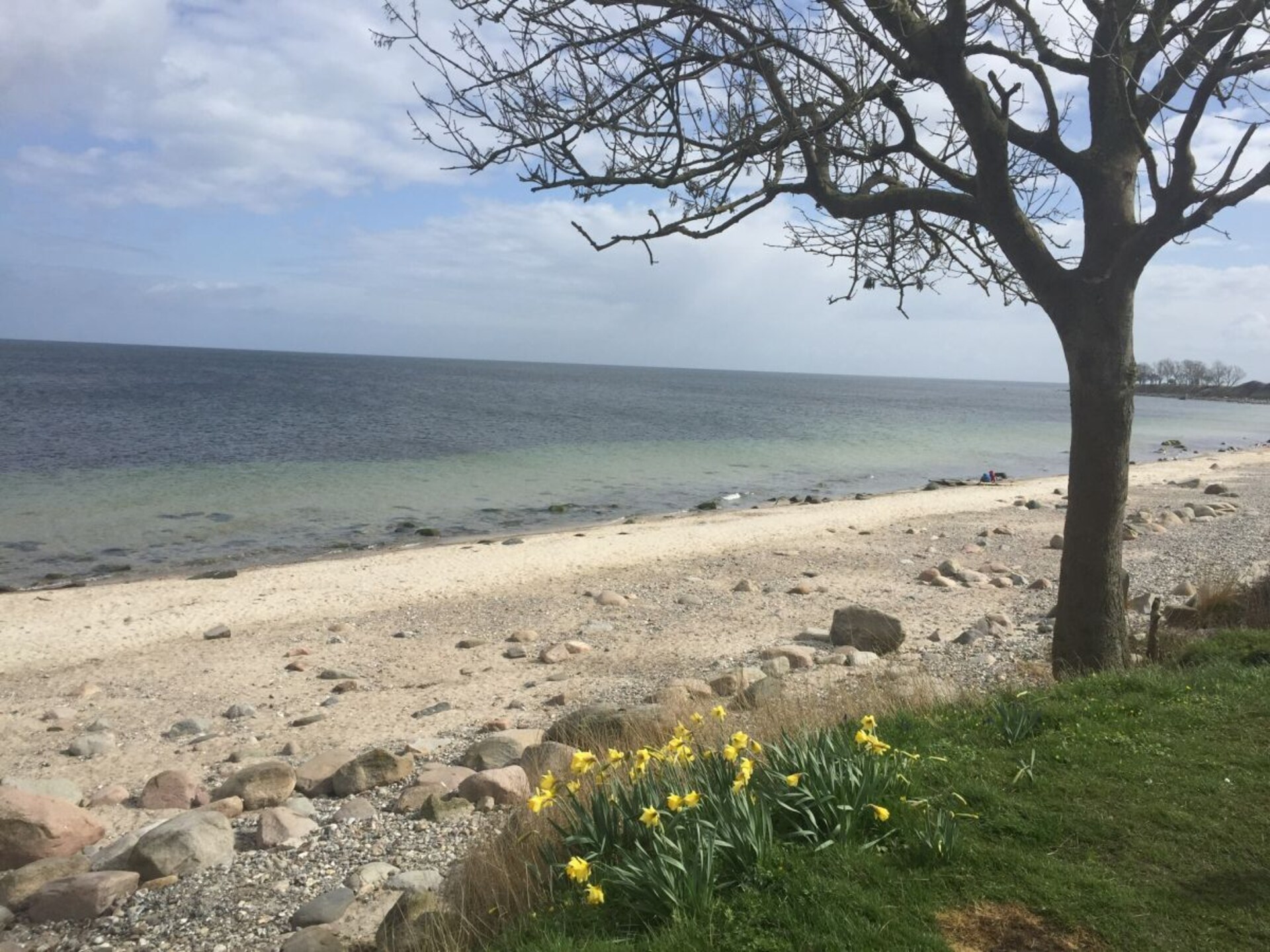 Licht vakantiehuis met zonneterras in Bojendorf, Fehmarn - foto 25