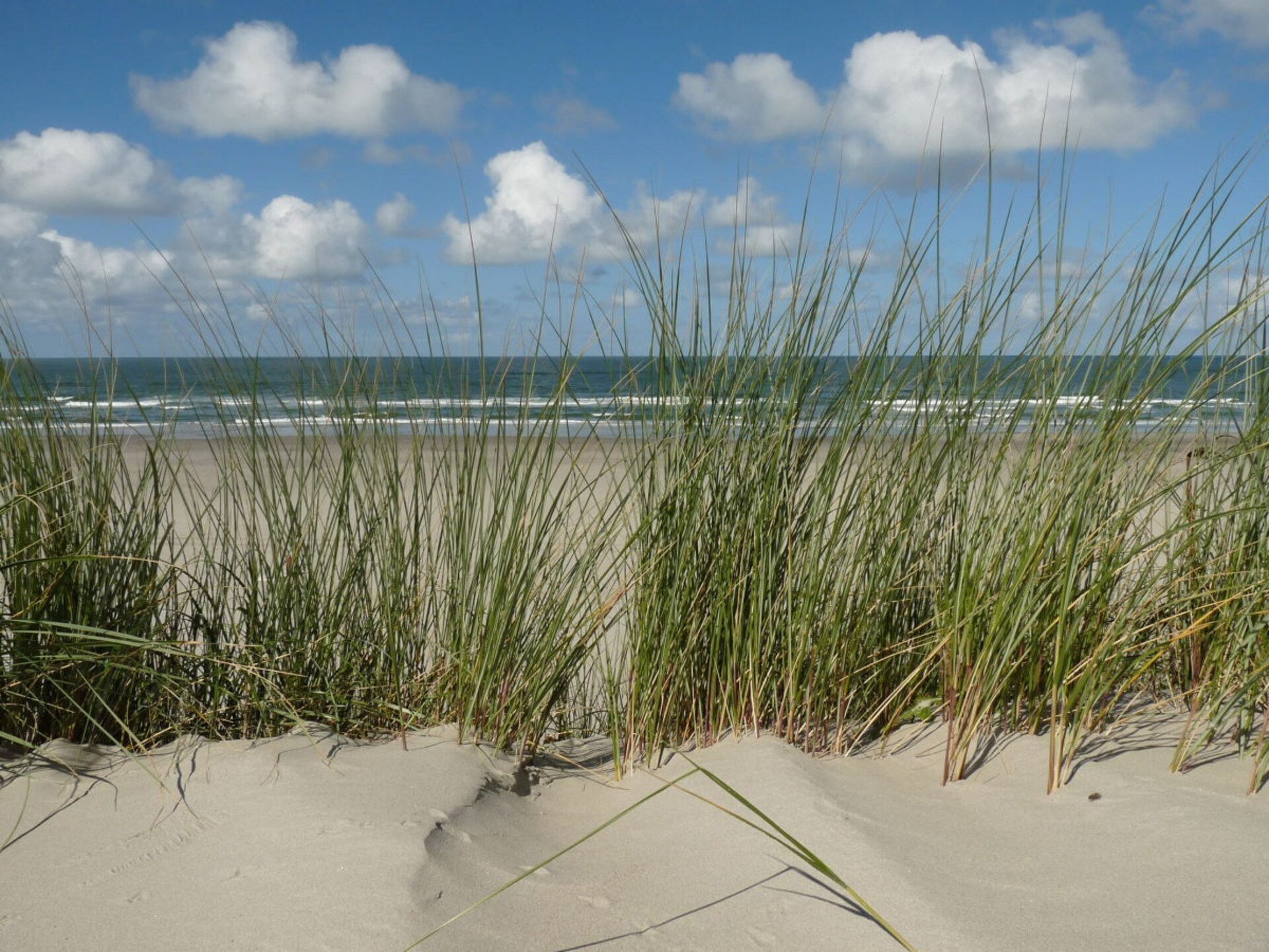 5-persoons vakantiehuis in Sankt Peter-Ording met zuidterras - foto 13