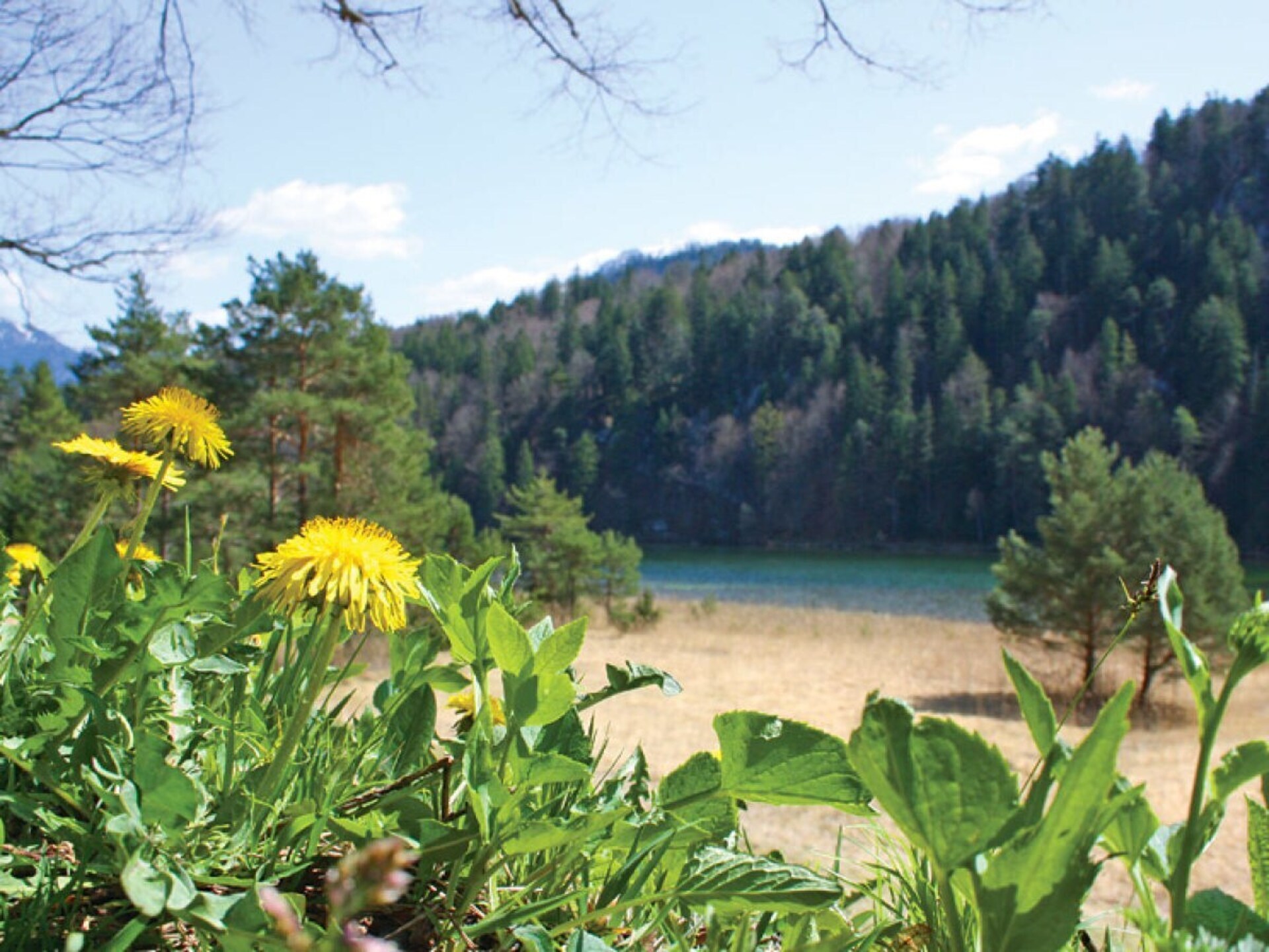 Sfeervol vakantiehuis Trollblume in Füssen voor 2 personen - foto 20