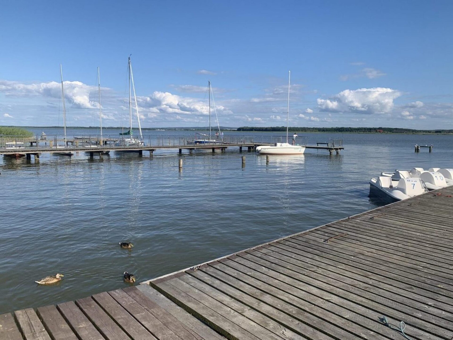 4-persoons appartement aan zee in Mielno - foto 30