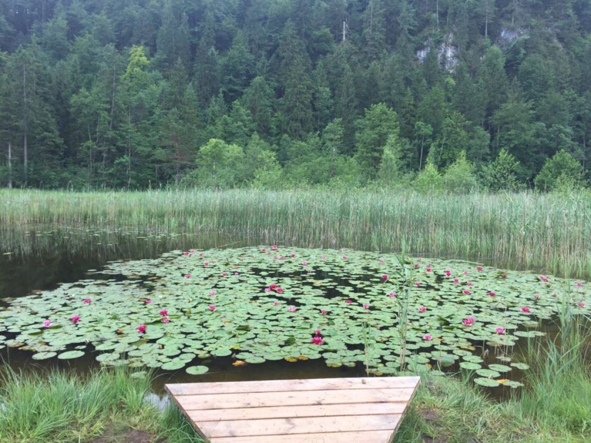 Luxe vakantiehuis Säulingblick in Hopferau im Allgäu - foto 27