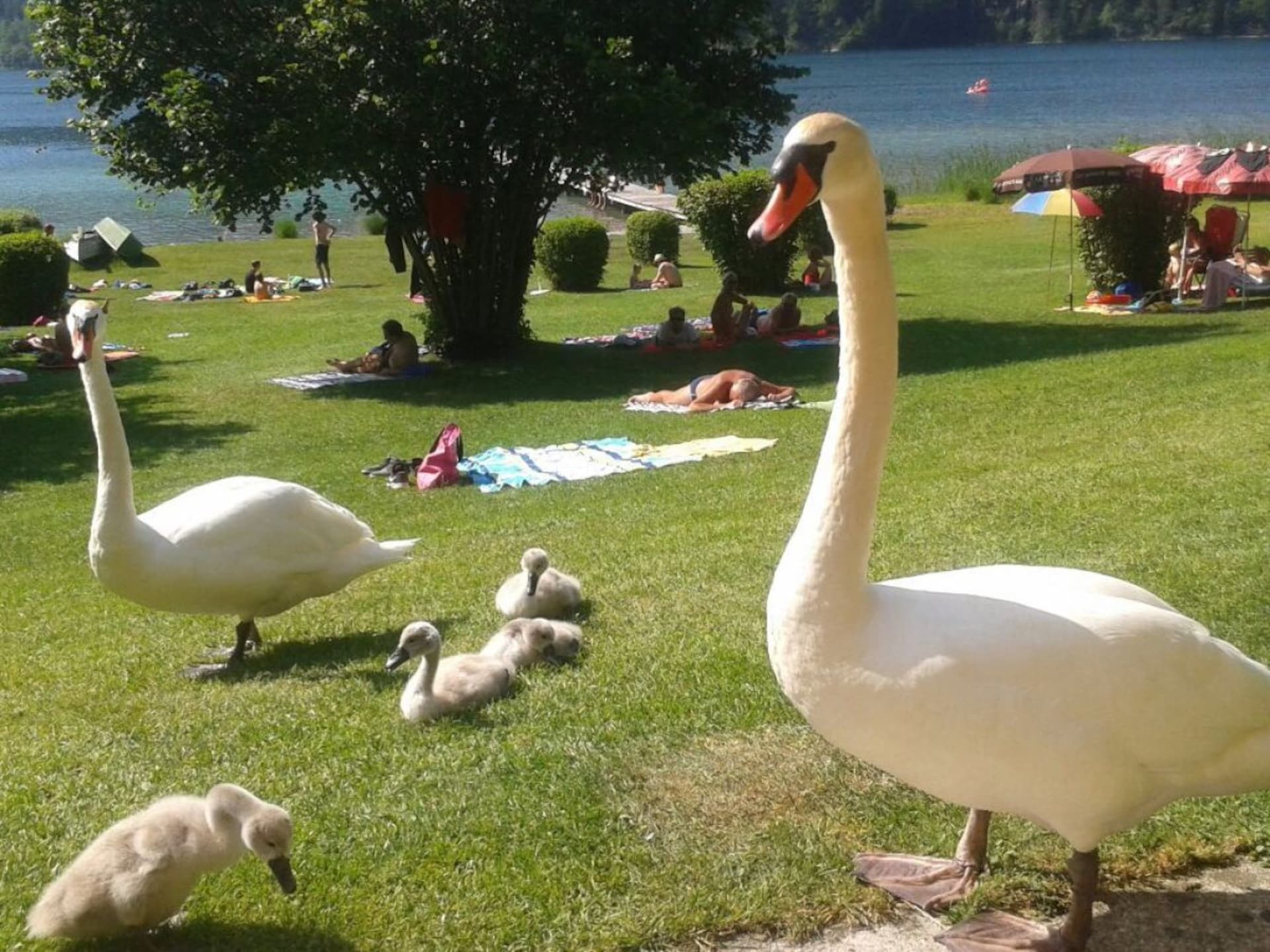 Luxe vakantiehuis Säulingblick in Hopferau im Allgäu - foto 28