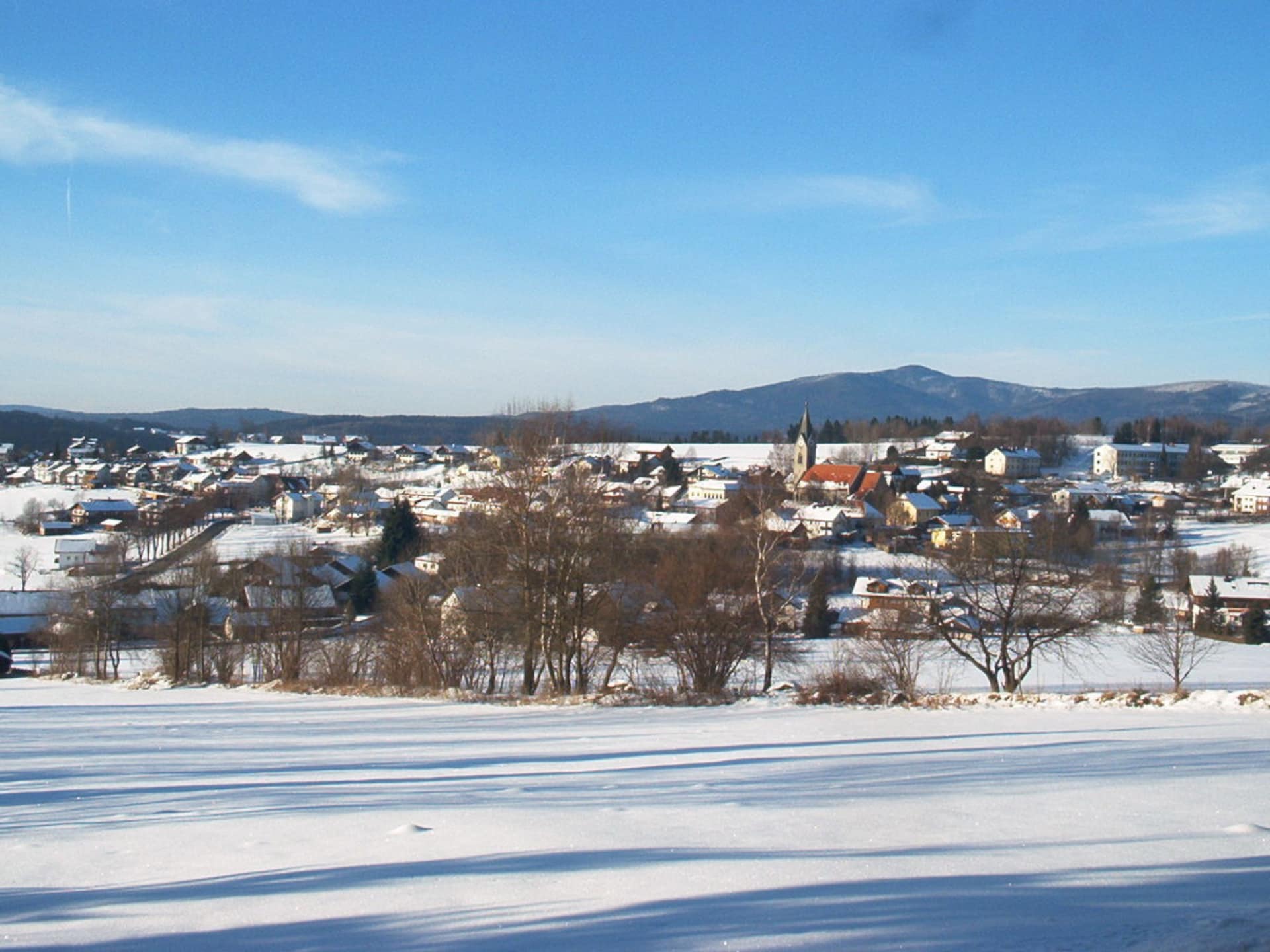 Vakantiehuis in Neuschönau: centrum op 600m en vlakbij de piste - foto 19