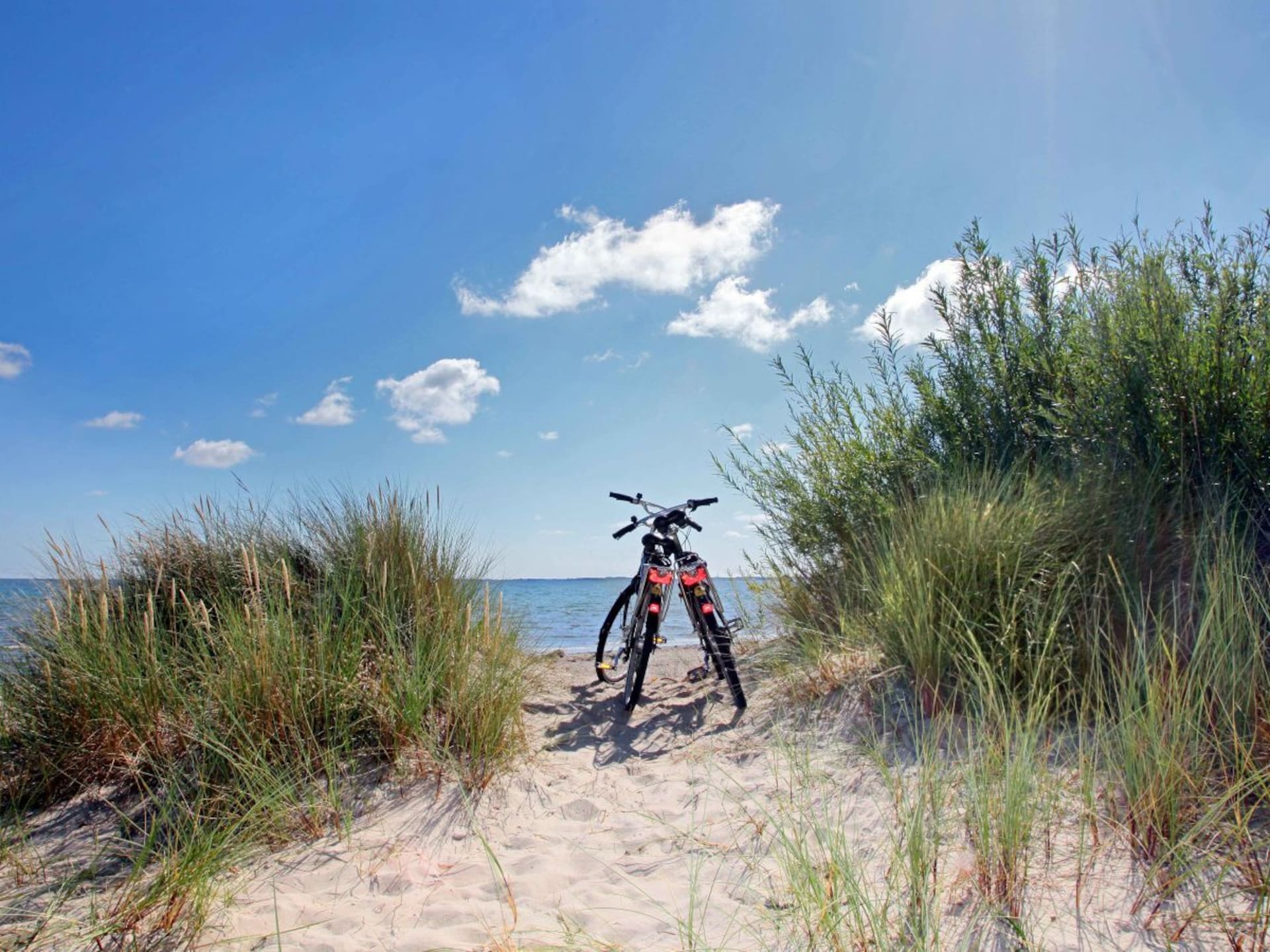 Op 1,0 km van het centrum: rustig vakantiehuis in Wyk auf Föhr - foto 18