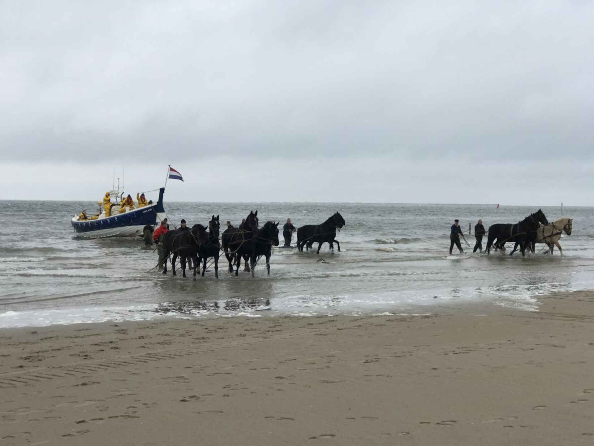 Op 1,0 km van centrum Hollum: vrijstaand vakantiehuis voor 6 personen - foto 19