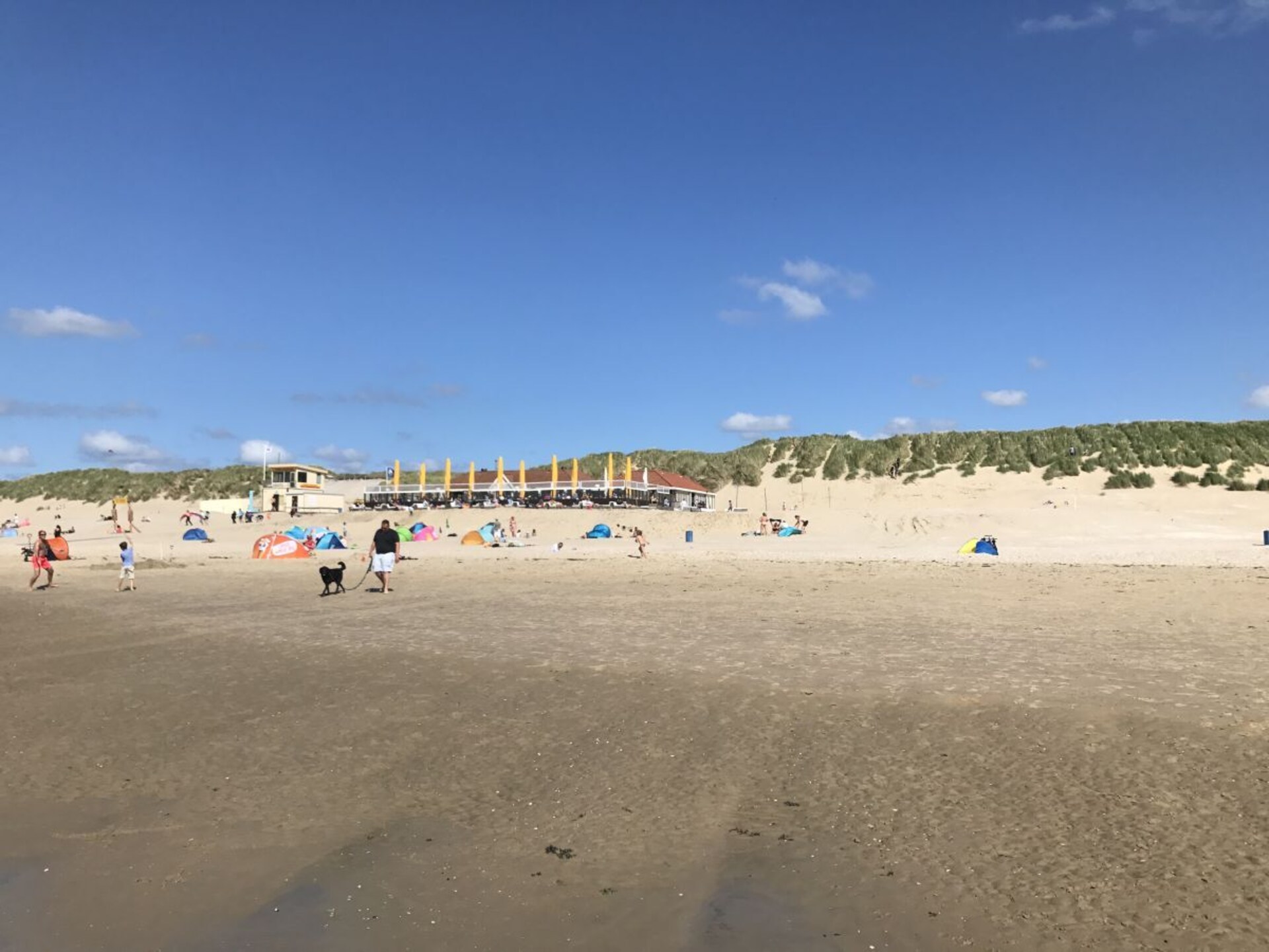 Op 1,0 km van centrum Hollum: vrijstaand vakantiehuis voor 6 personen - foto 21