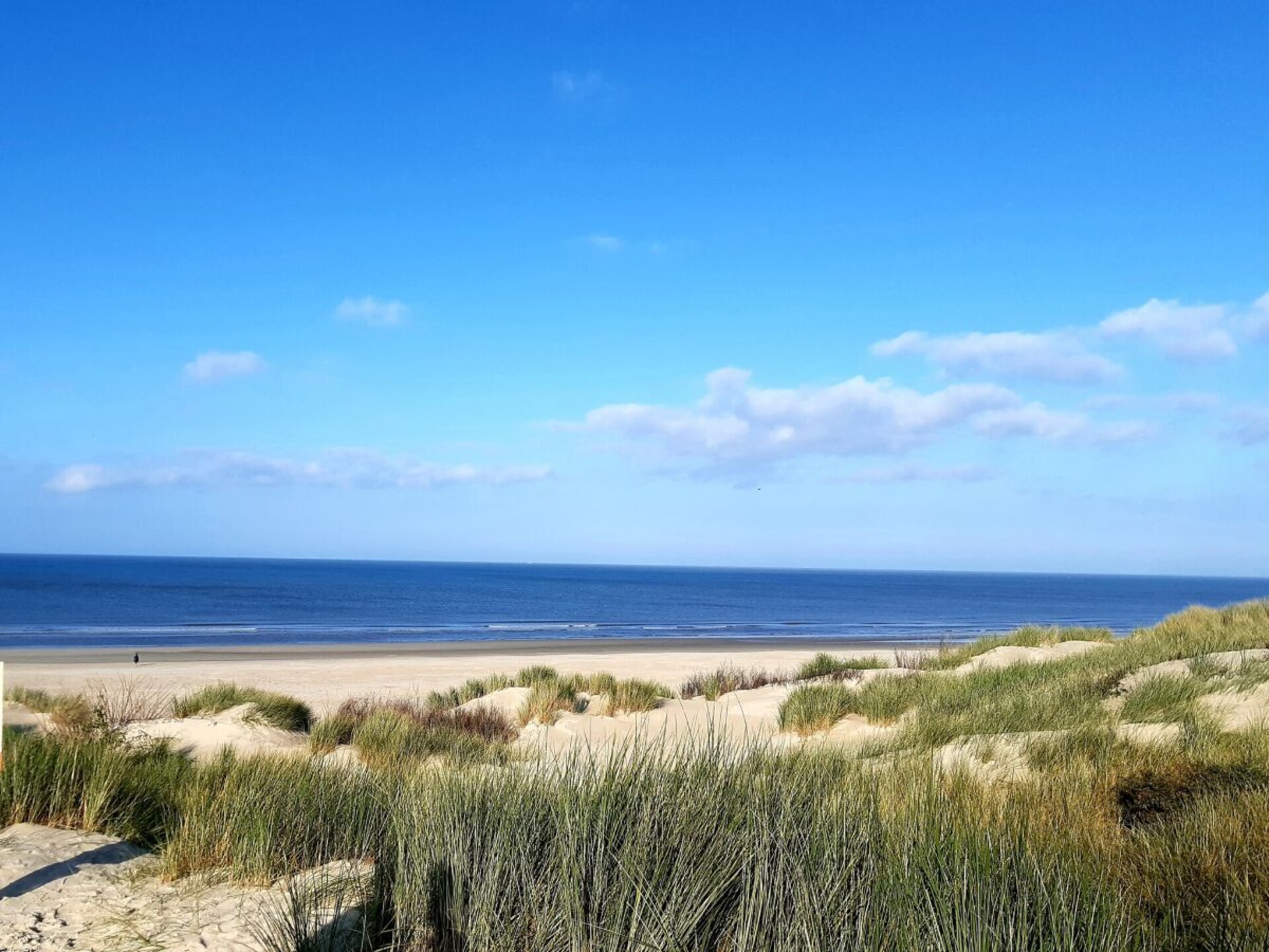 Gezellig vakantiehuis InselZeit op Borkum voor 4 personen - foto 24