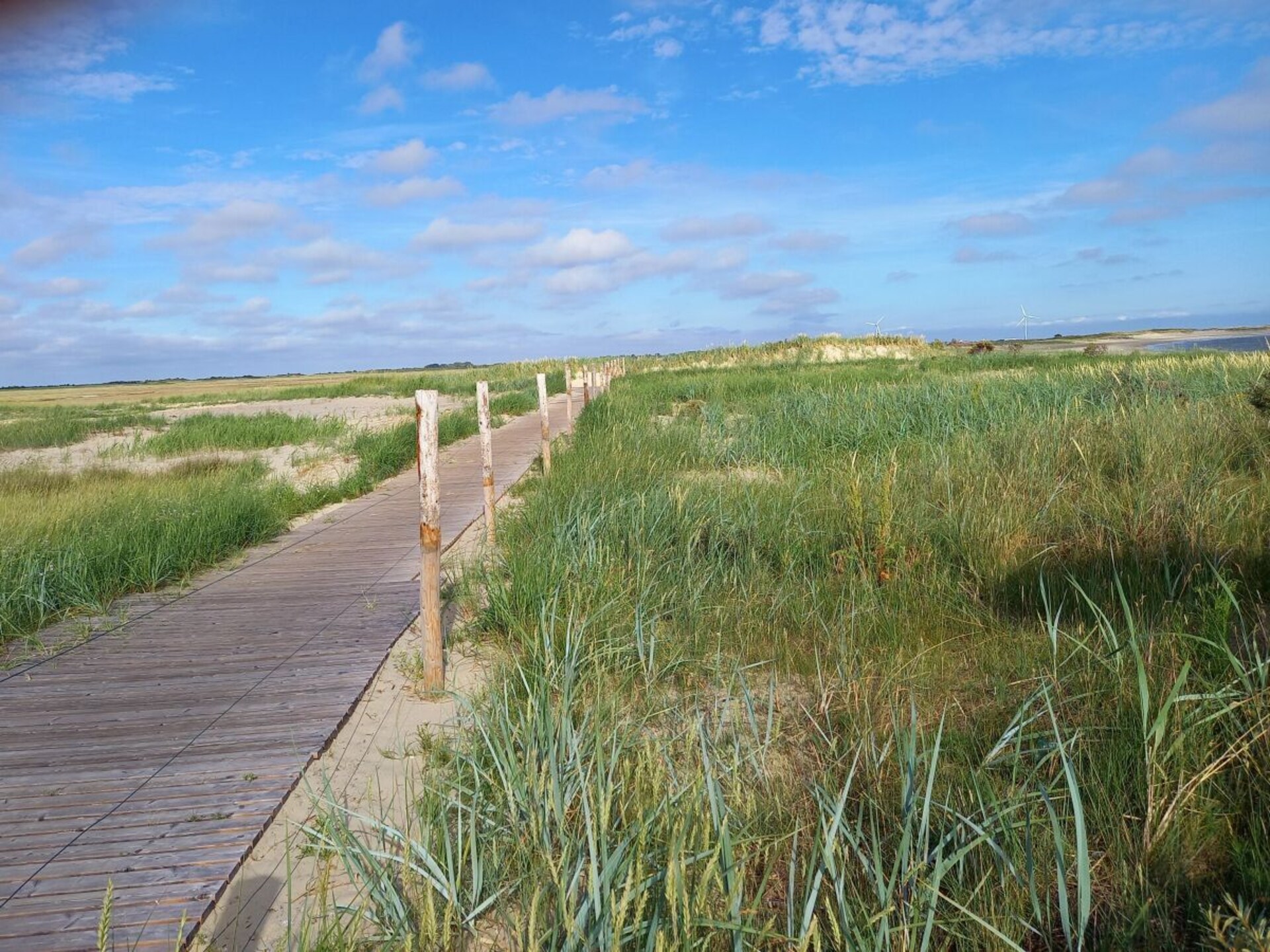 Gezellig vakantiehuis InselZeit op Borkum voor 4 personen - foto 30