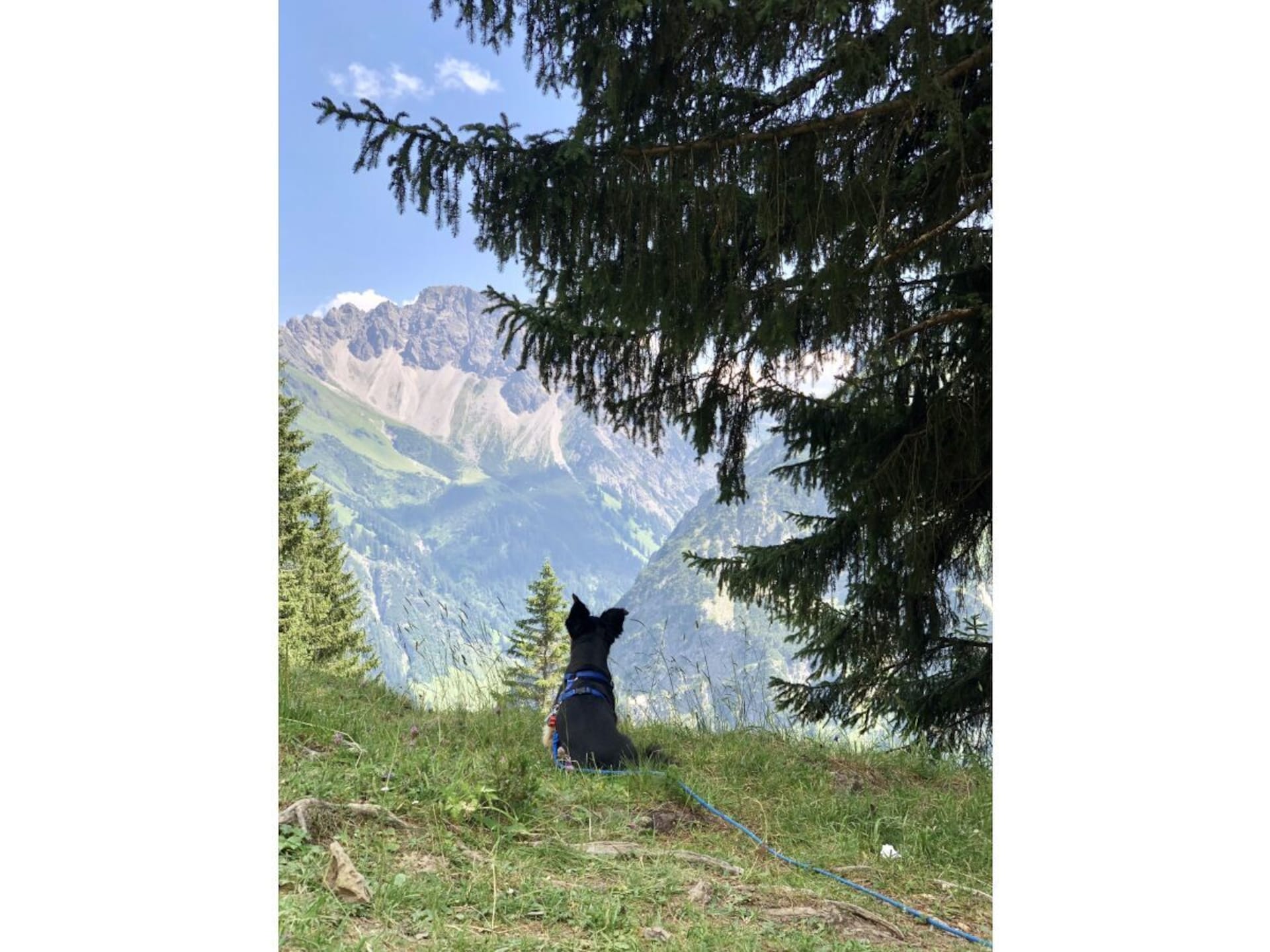 4-persoons vakantiehuis aan de piste in Mittelberg - foto 10