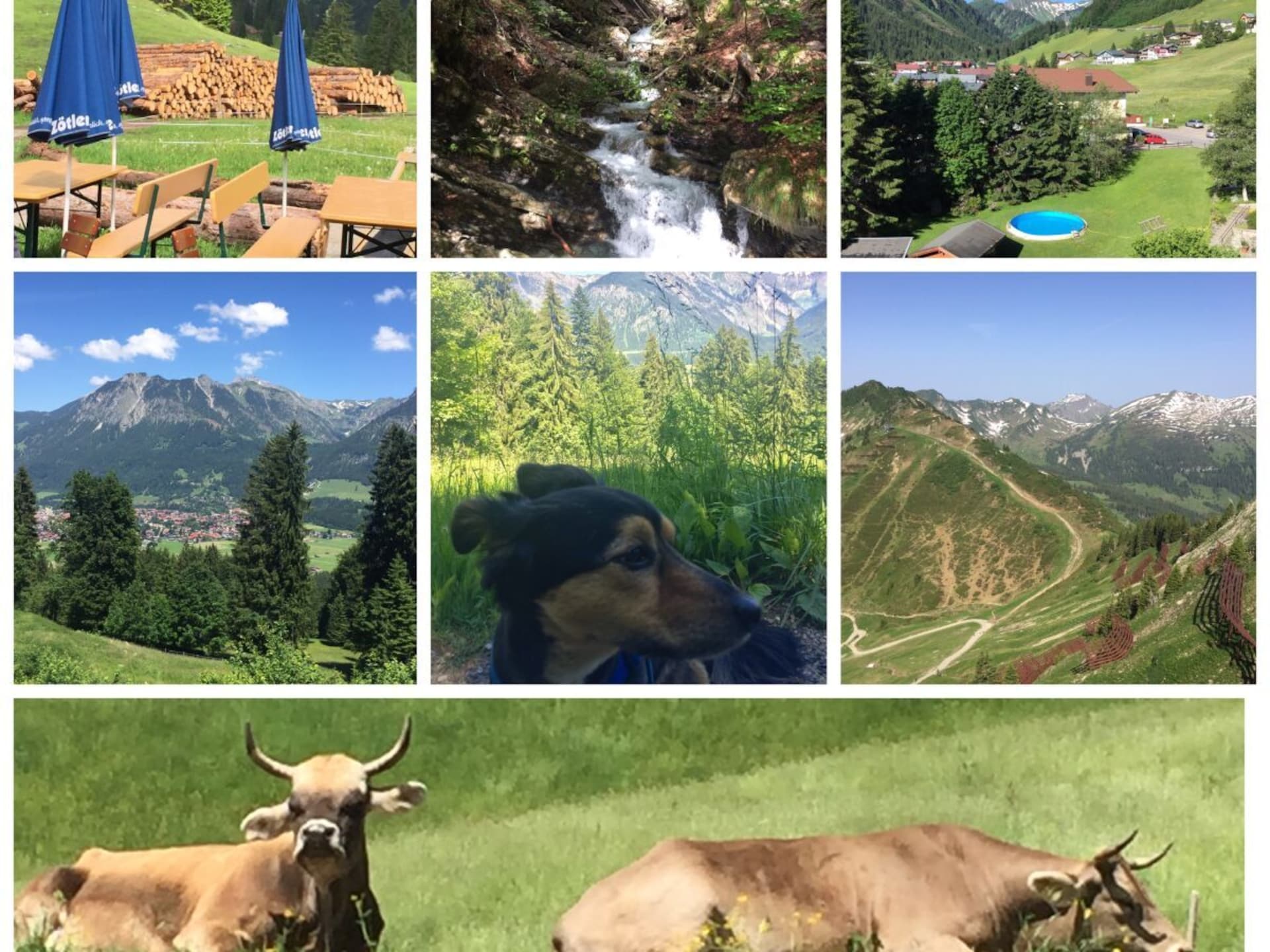 4-persoons vakantiehuis aan de piste in Mittelberg - foto 18
