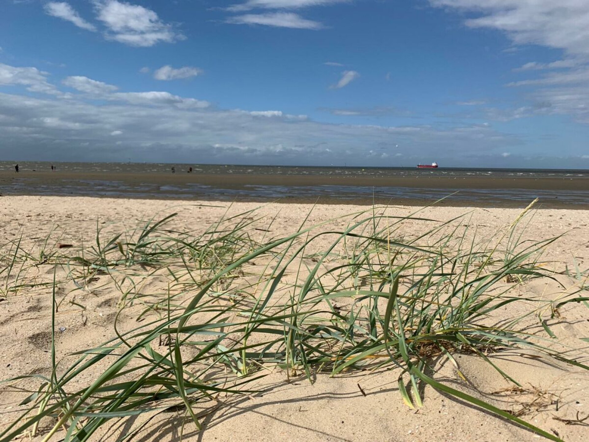 2-persoons vakantiehuis in het centrum van Cuxhaven - foto 31