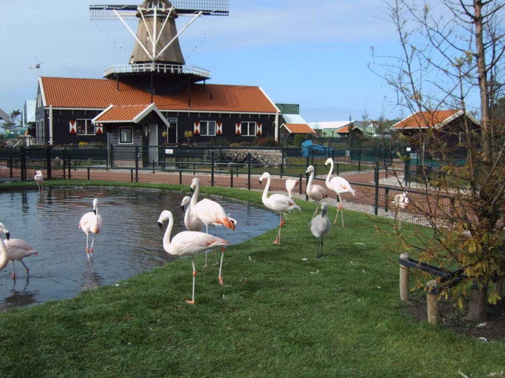 4-persoons vakantiehuis in Schoorldam met grote tuin - foto 13