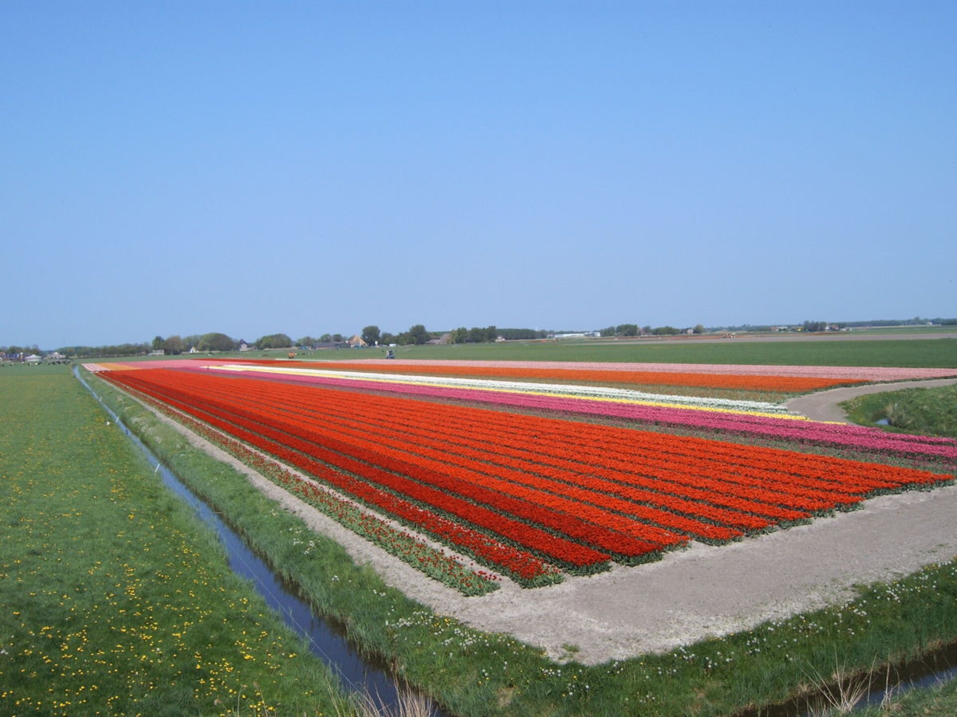 4-persoons vakantiehuis in Schoorldam met grote tuin - foto 14