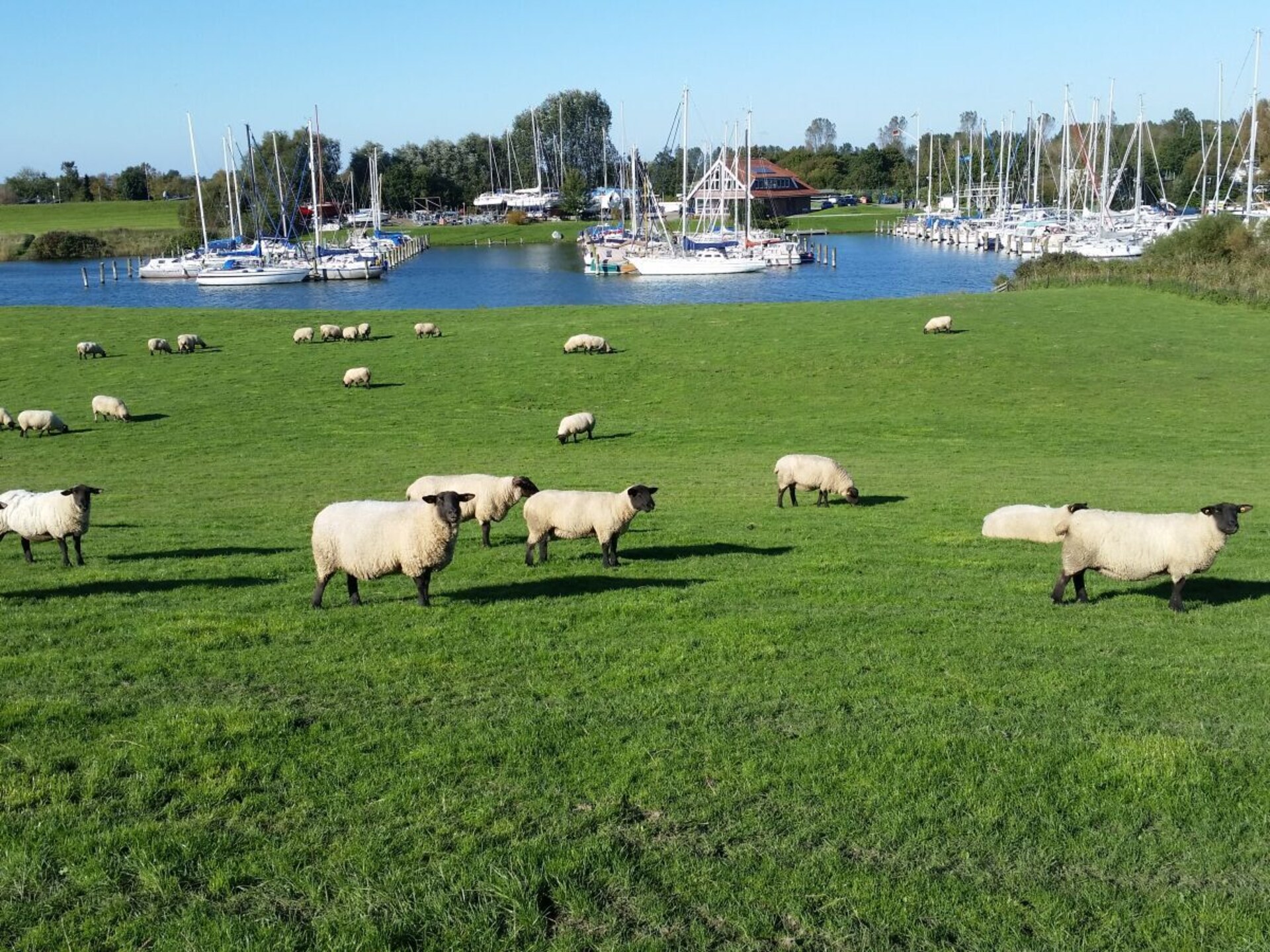 Centraal gelegen vakantiehuis in Hooksiel voor 4 personen · 65 m² - foto 29