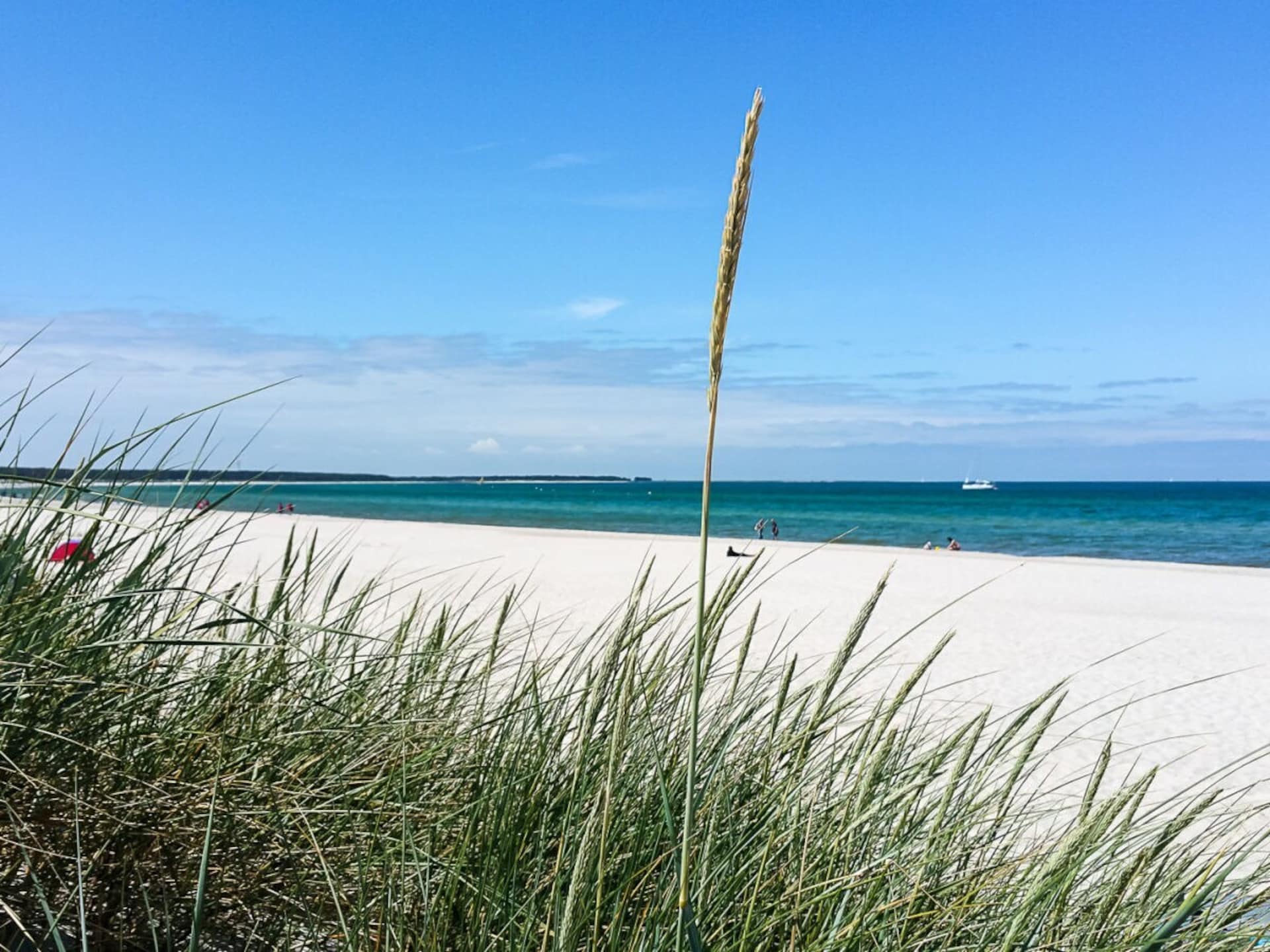 Centraal gelegen vakantiehuis in Ostseebad Prerow voor 5 personen - foto 32