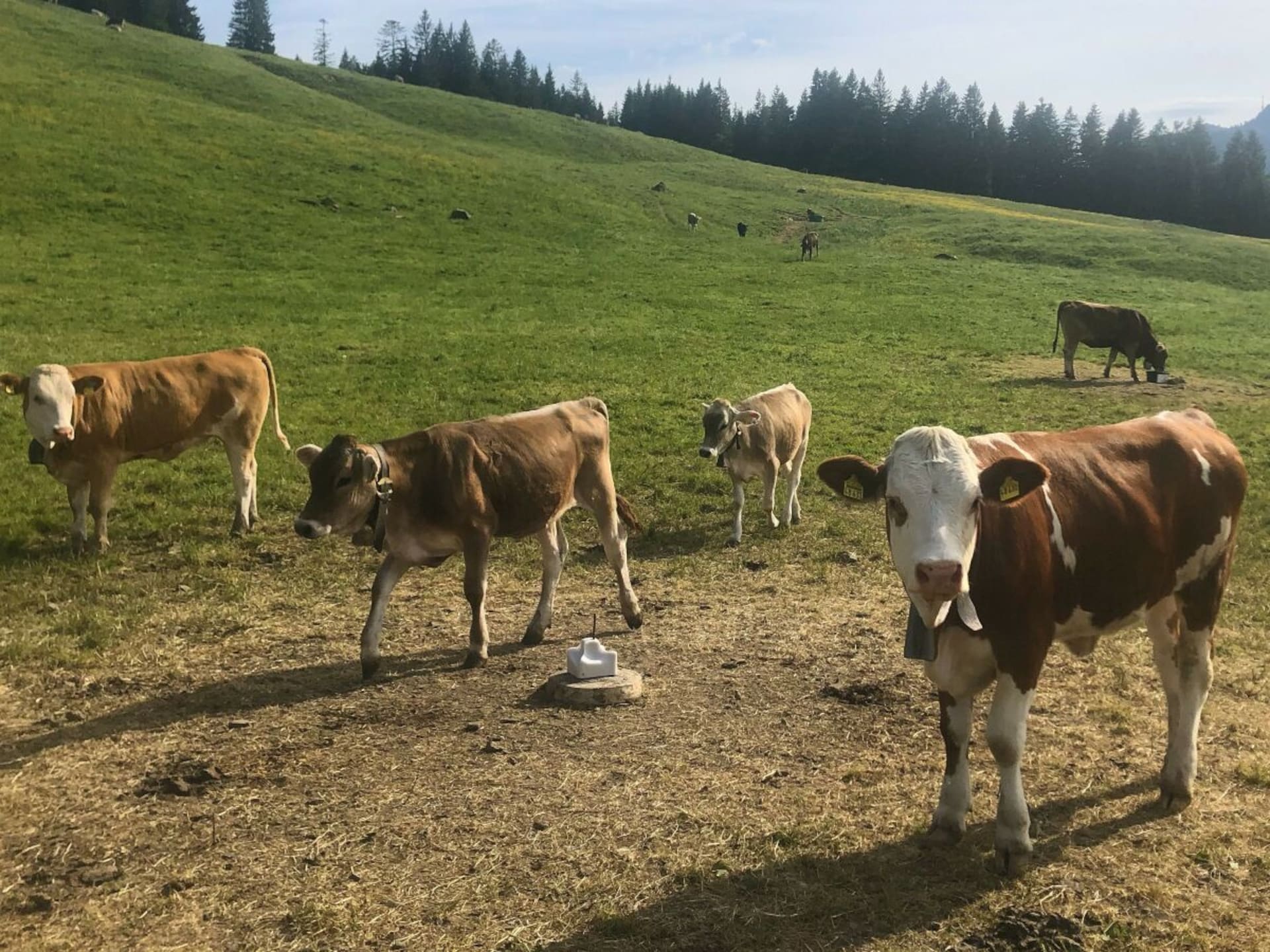 Stijlvol vakantiehuis in Wertach met bergzicht - foto 13