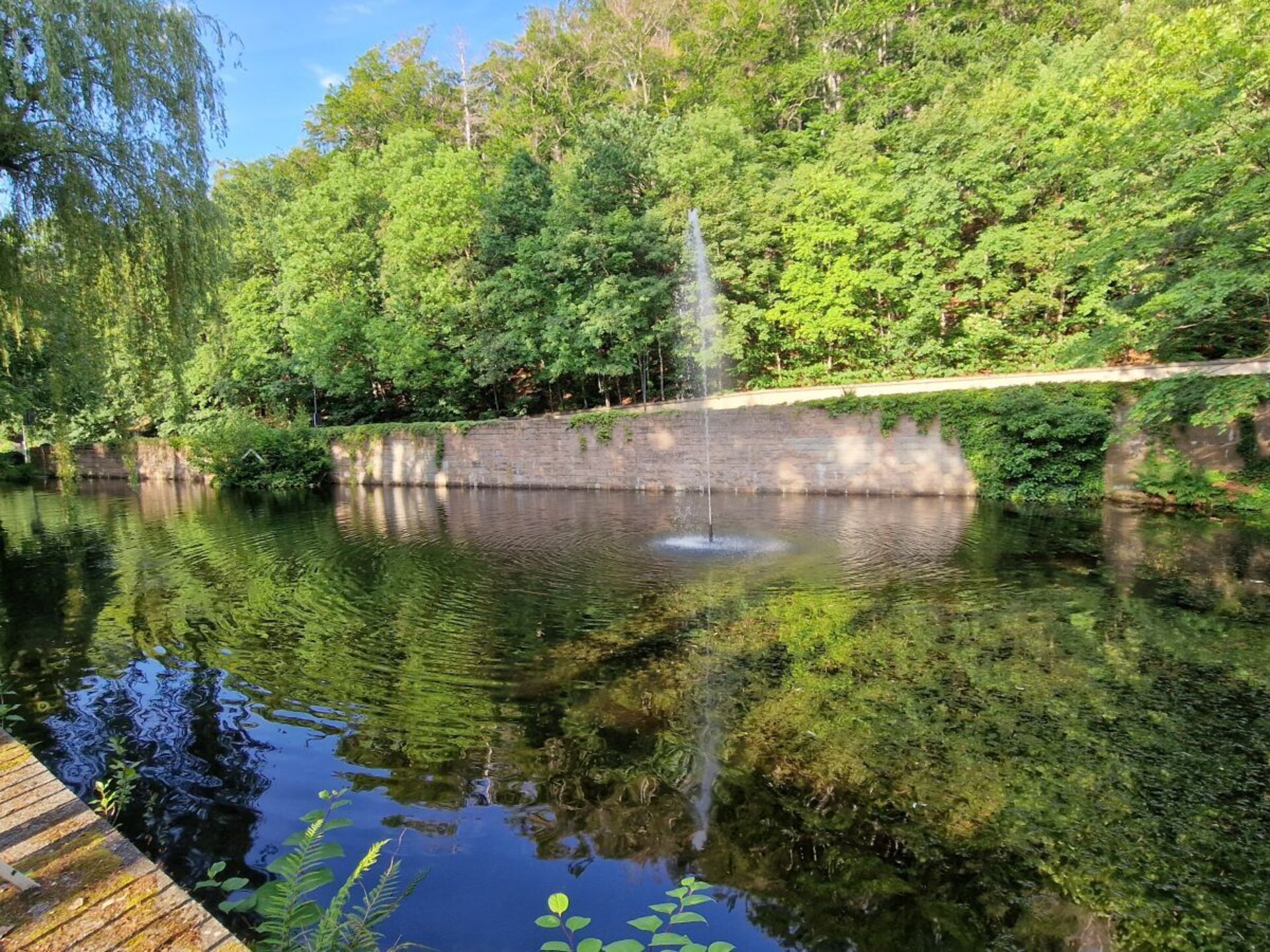 Centraal gelegen vakantiehuis in Bad Harzburg voor 3 personen - foto 20