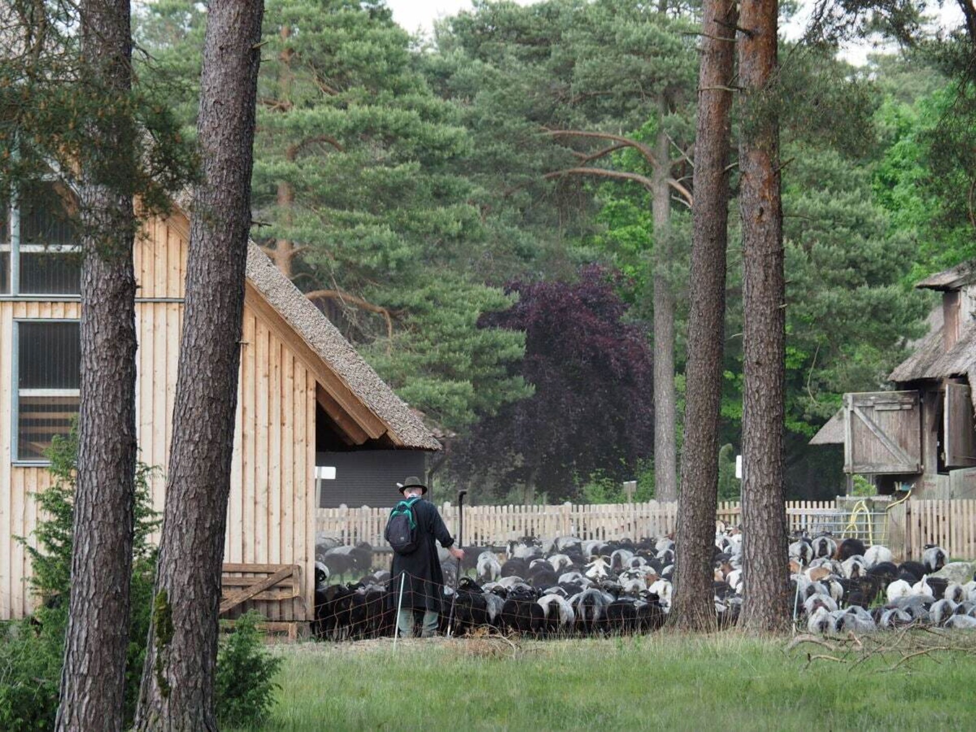4-persoons vakantiehuis in het centrum van Neuenkirchen - foto 31
