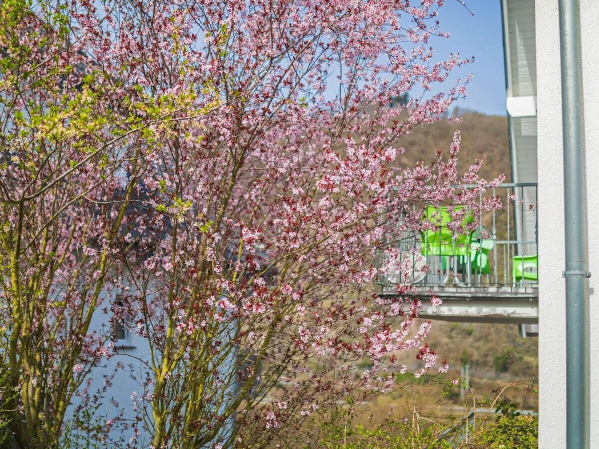 Licht vakantiehuis in Cochem met balkon en uitzicht op de Moezel - foto 4