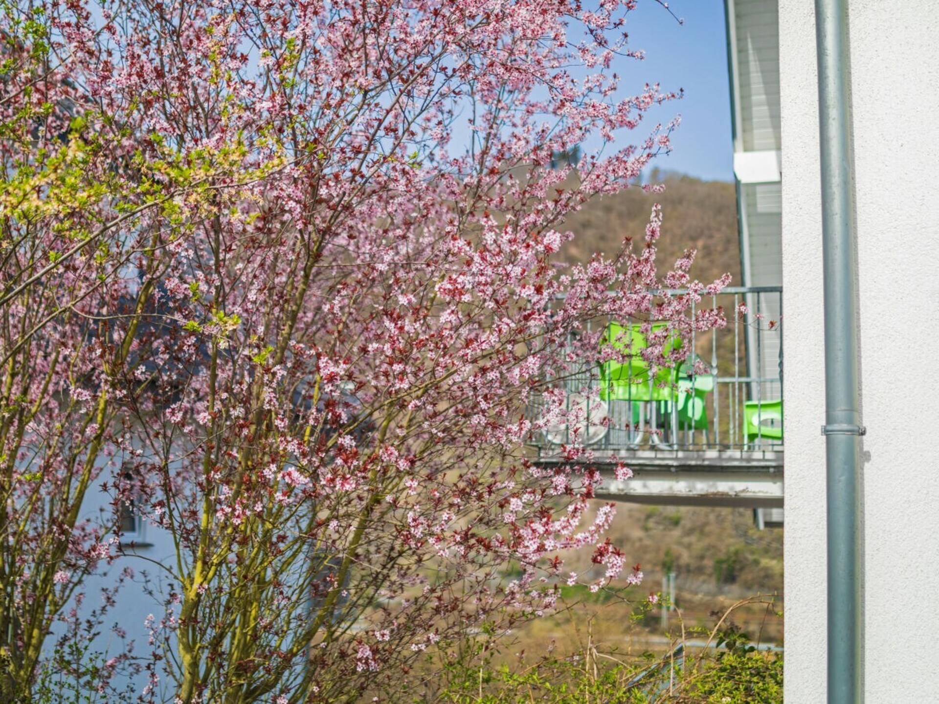 Licht vakantiehuis in Cochem met balkon en uitzicht op de Moezel - foto 21