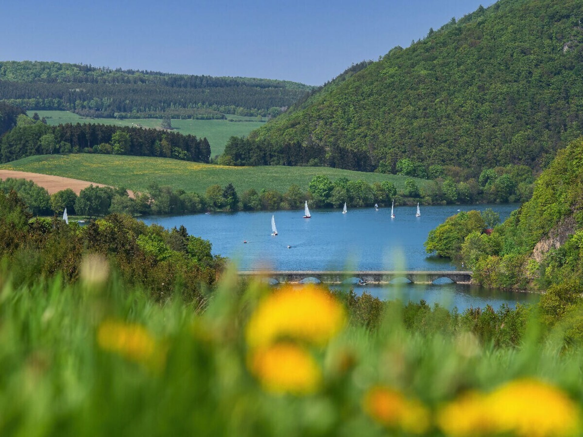 Centraal gelegen vakantiehuis bij Diemelsee voor 6 personen - foto 29